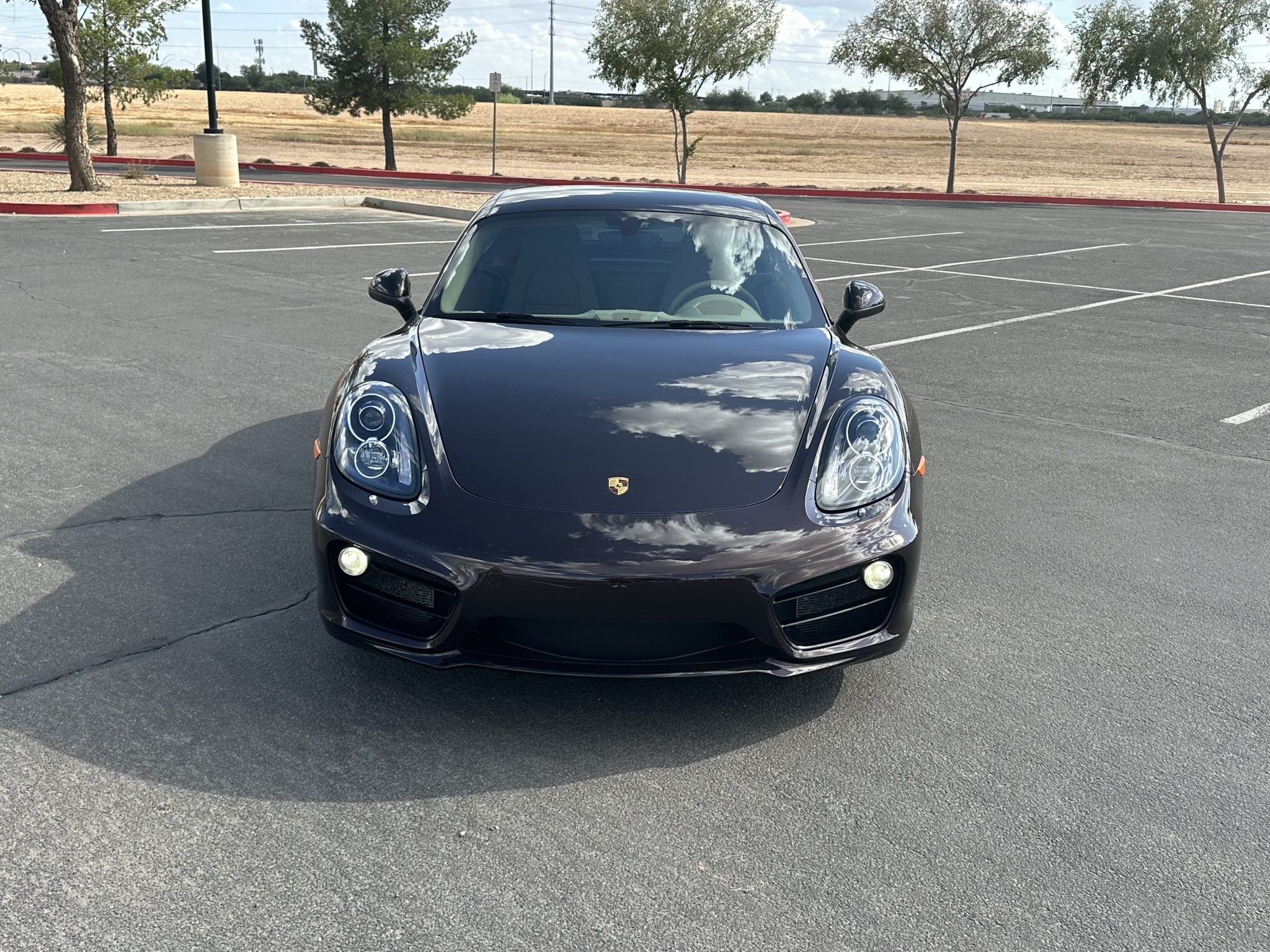 Porsche 981 Cayman 