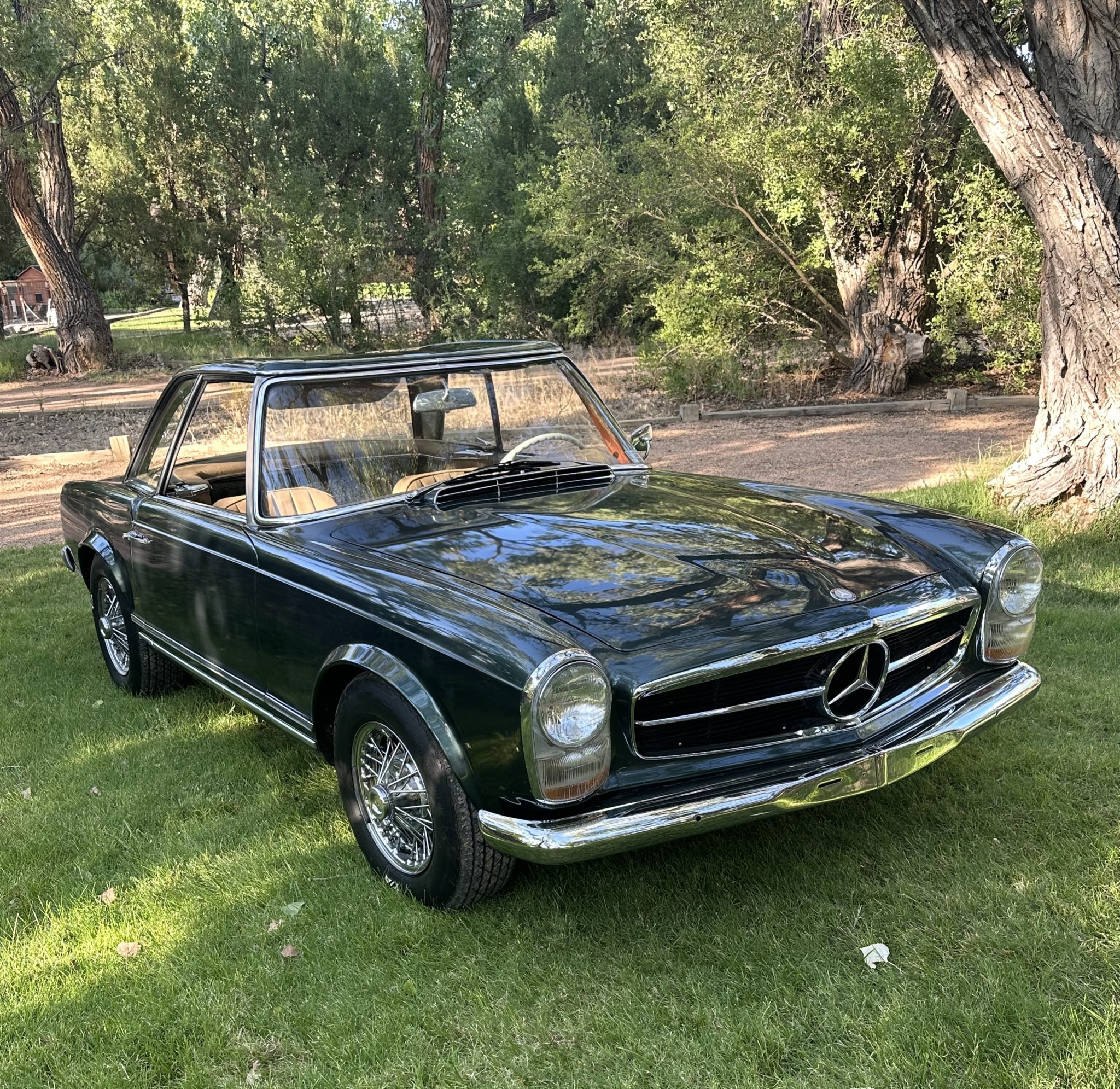 Mercedes-Benz W113 SL 