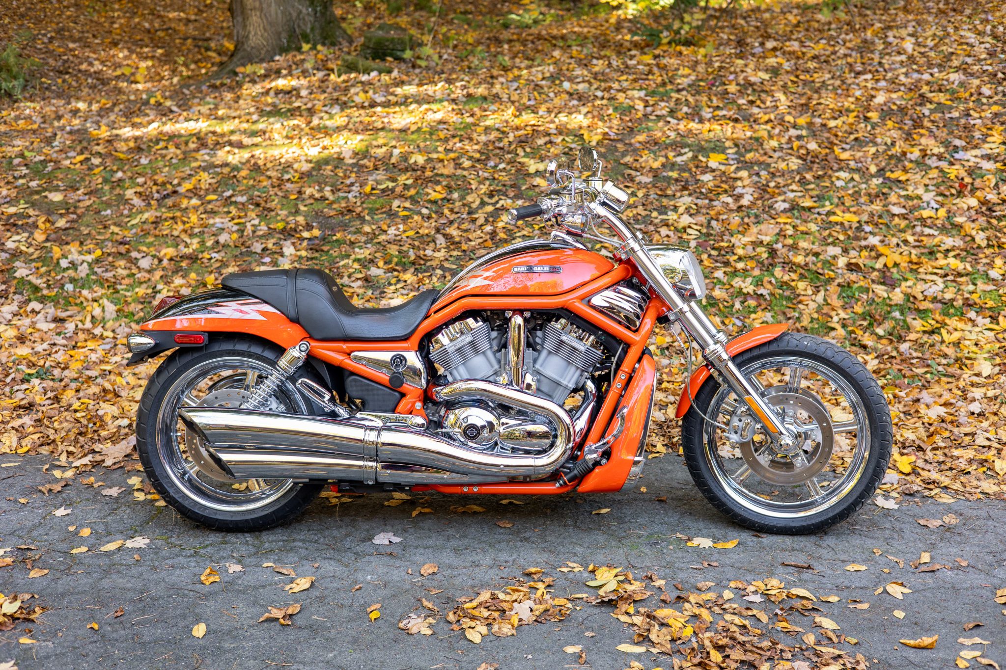 Harley-Davidson V-Rod 