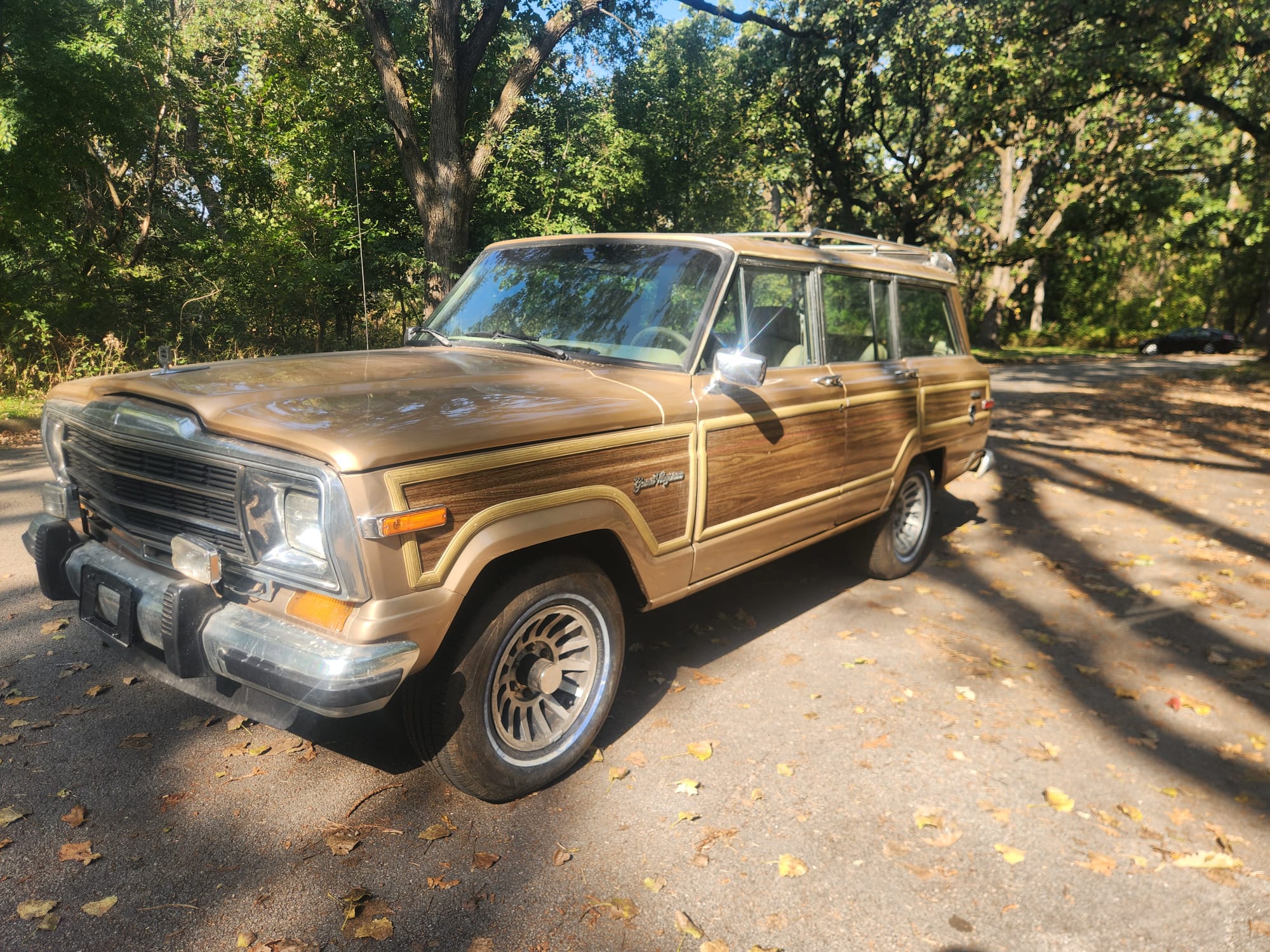 Jeep SJ Grand Wagoneer 