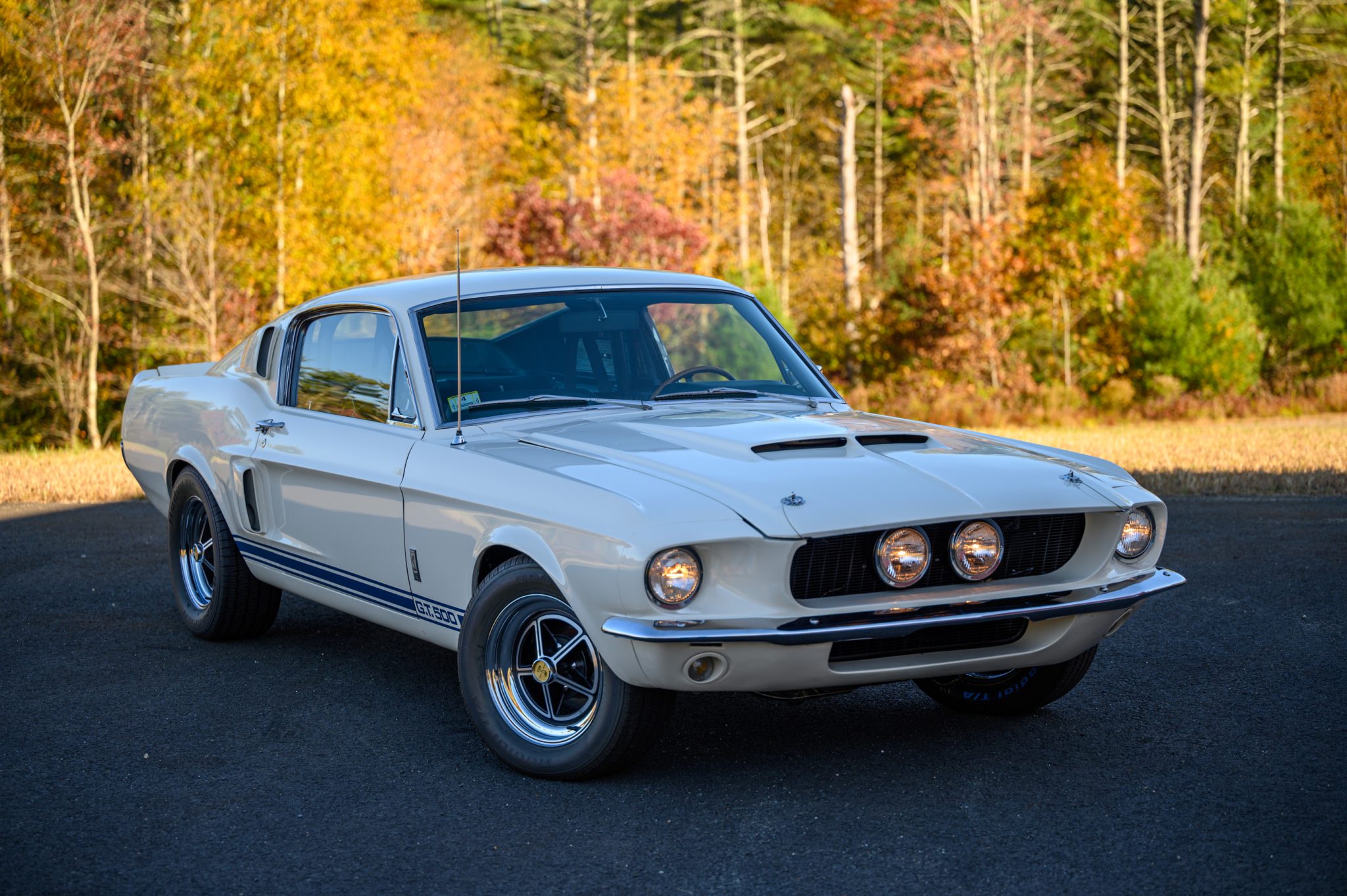 Shelby Mustang GT350 & GT500 
