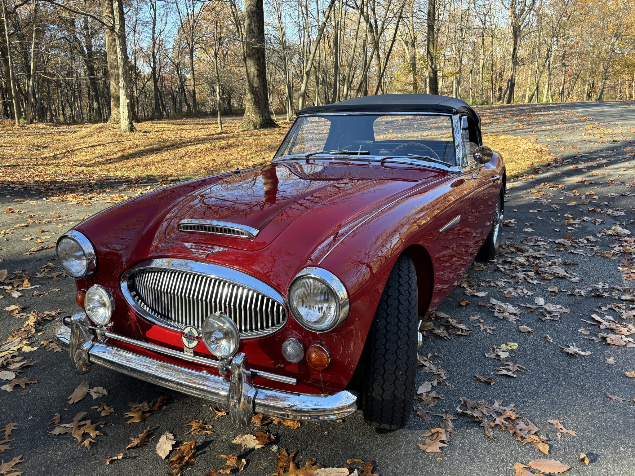 Austin-Healey 3000 