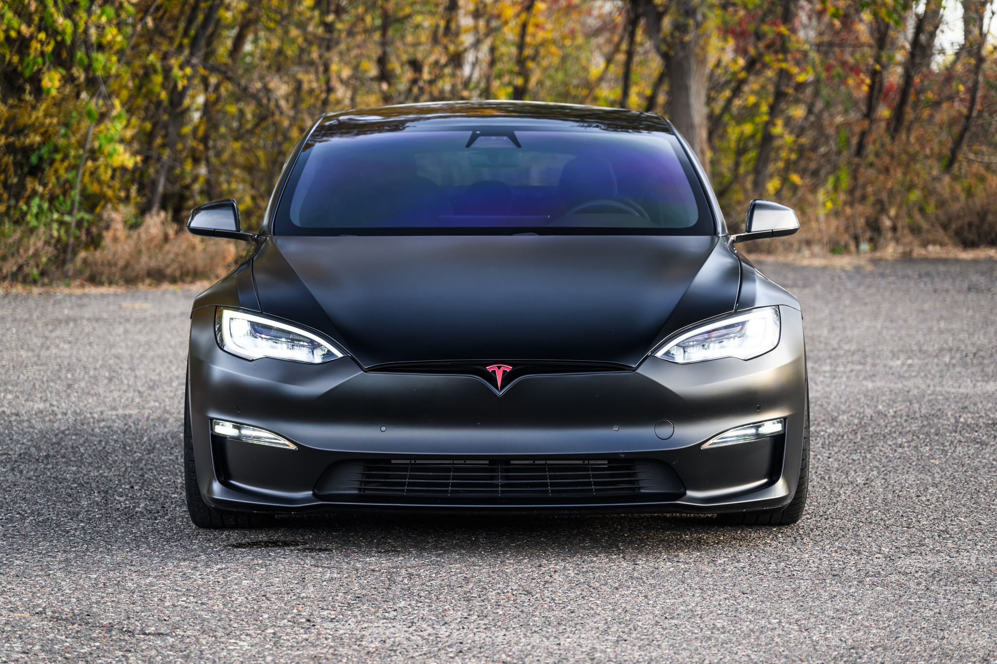 Tesla S 