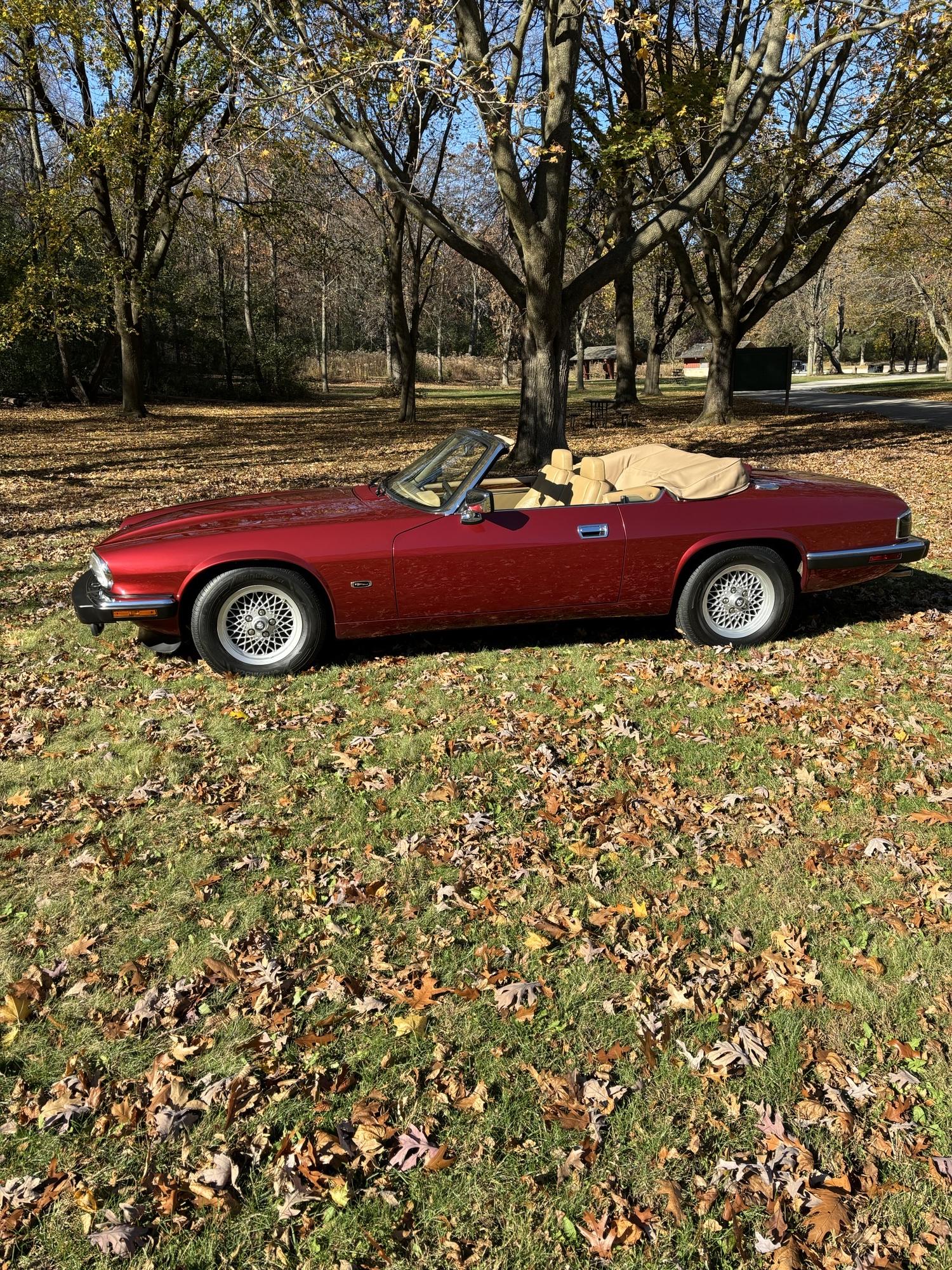 Jaguar XJS 