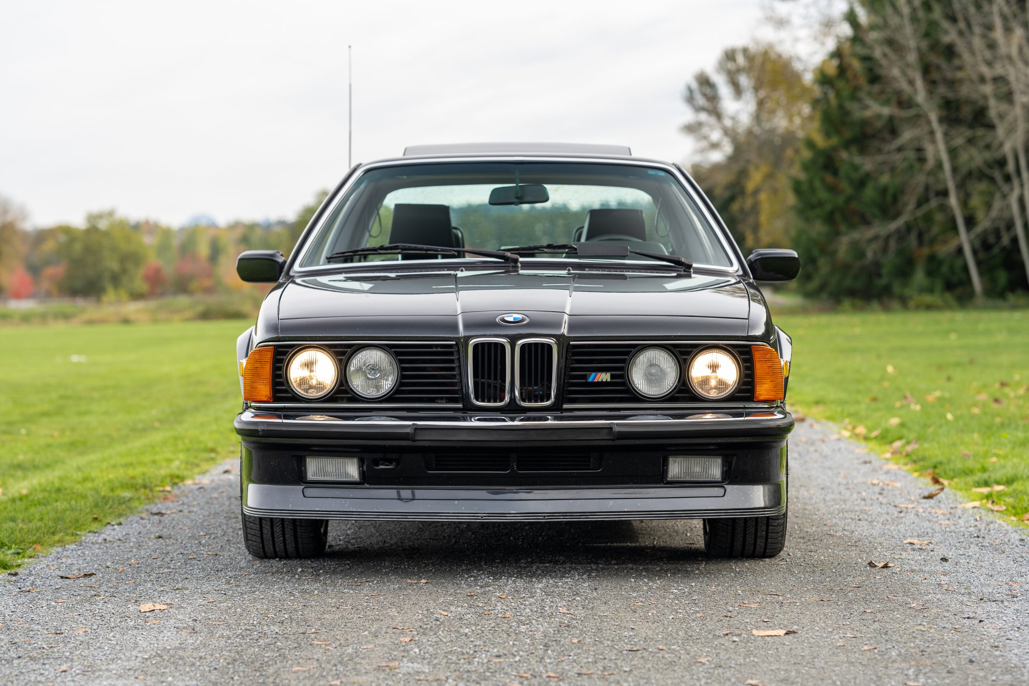 BMW E24 M6 & M635CSi 