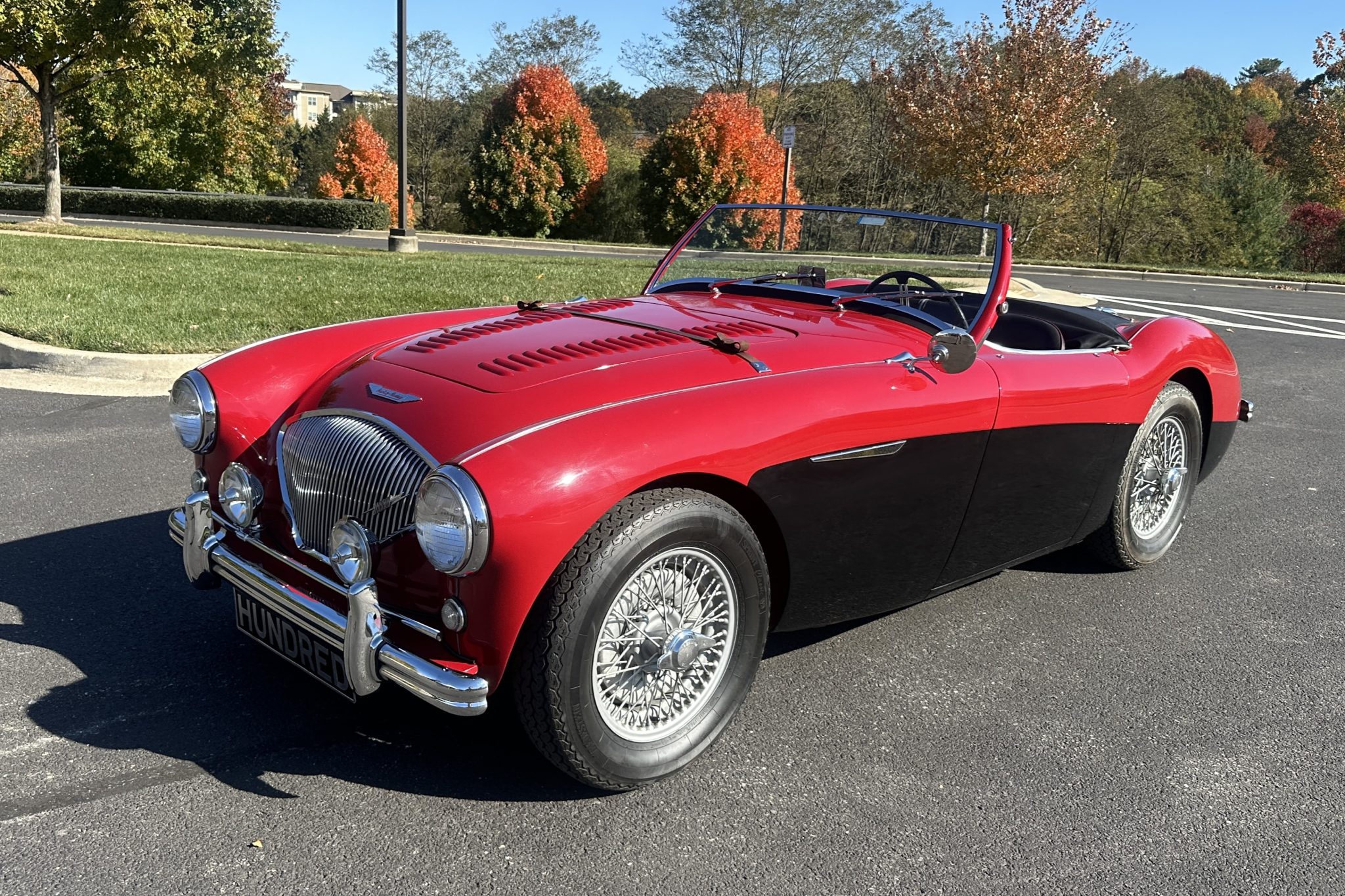 Austin-Healey 100 