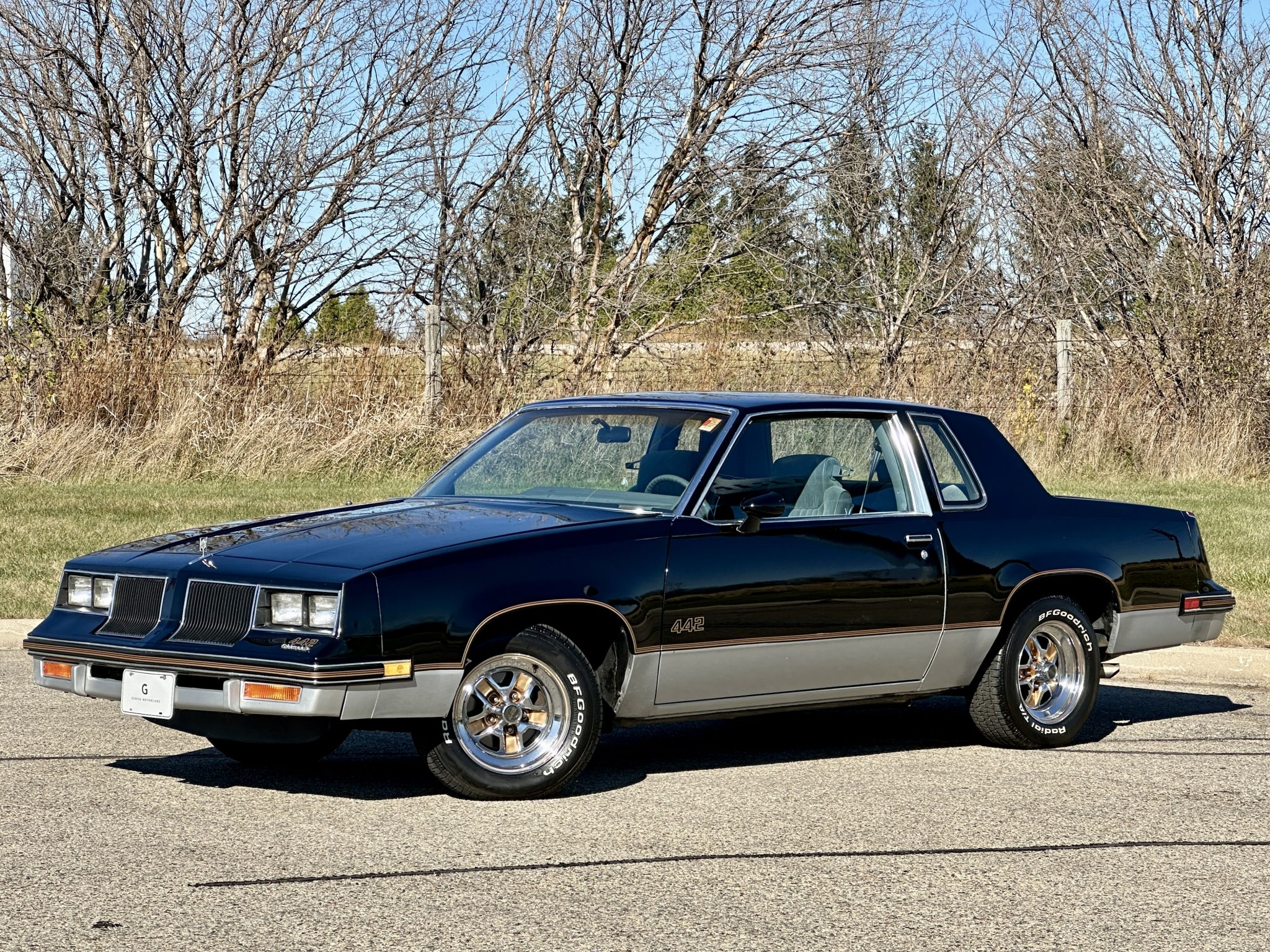 Oldsmobile 442 