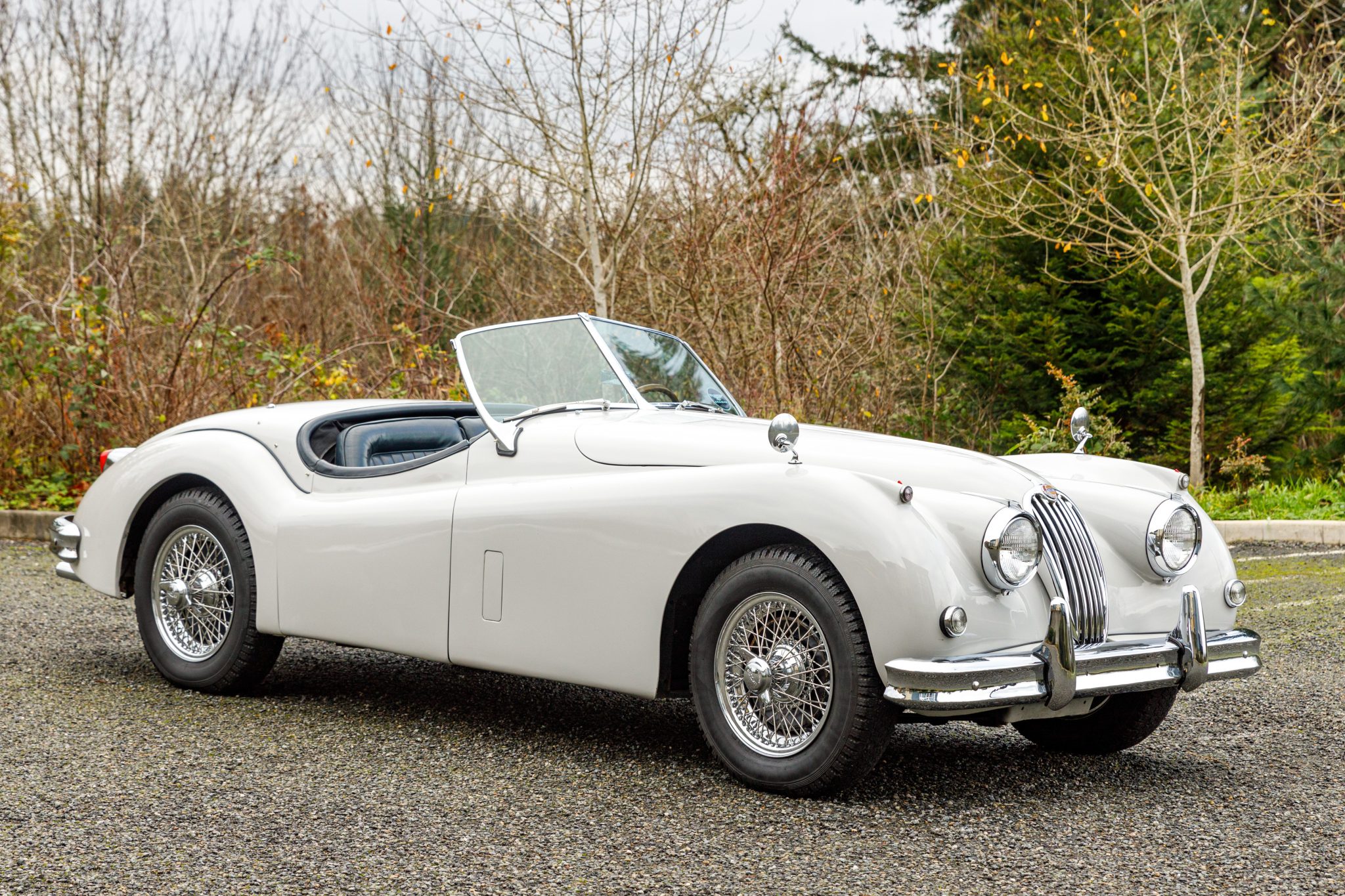 Jaguar XK140 