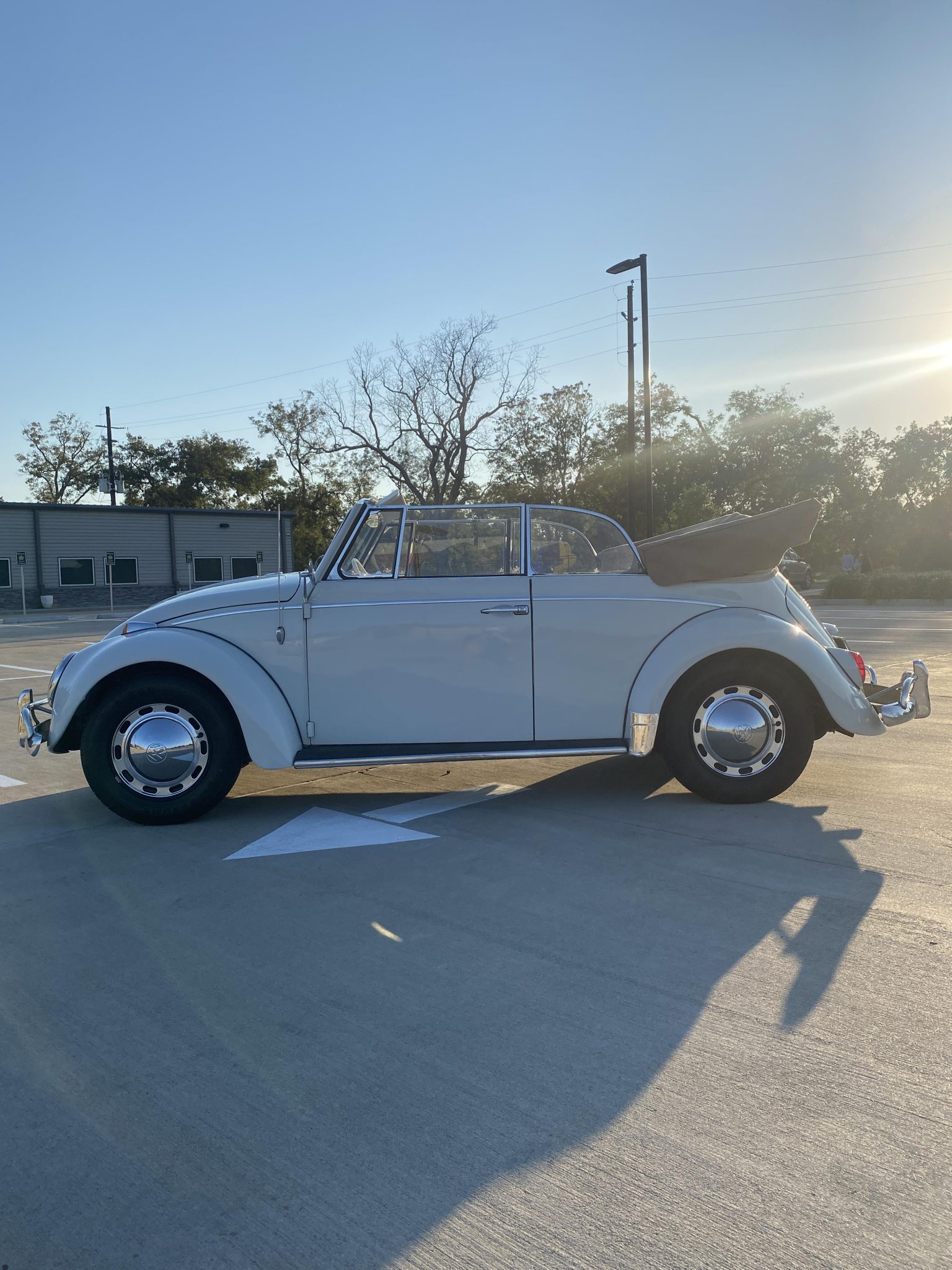 Volkswagen Beetle (1958-1979) 