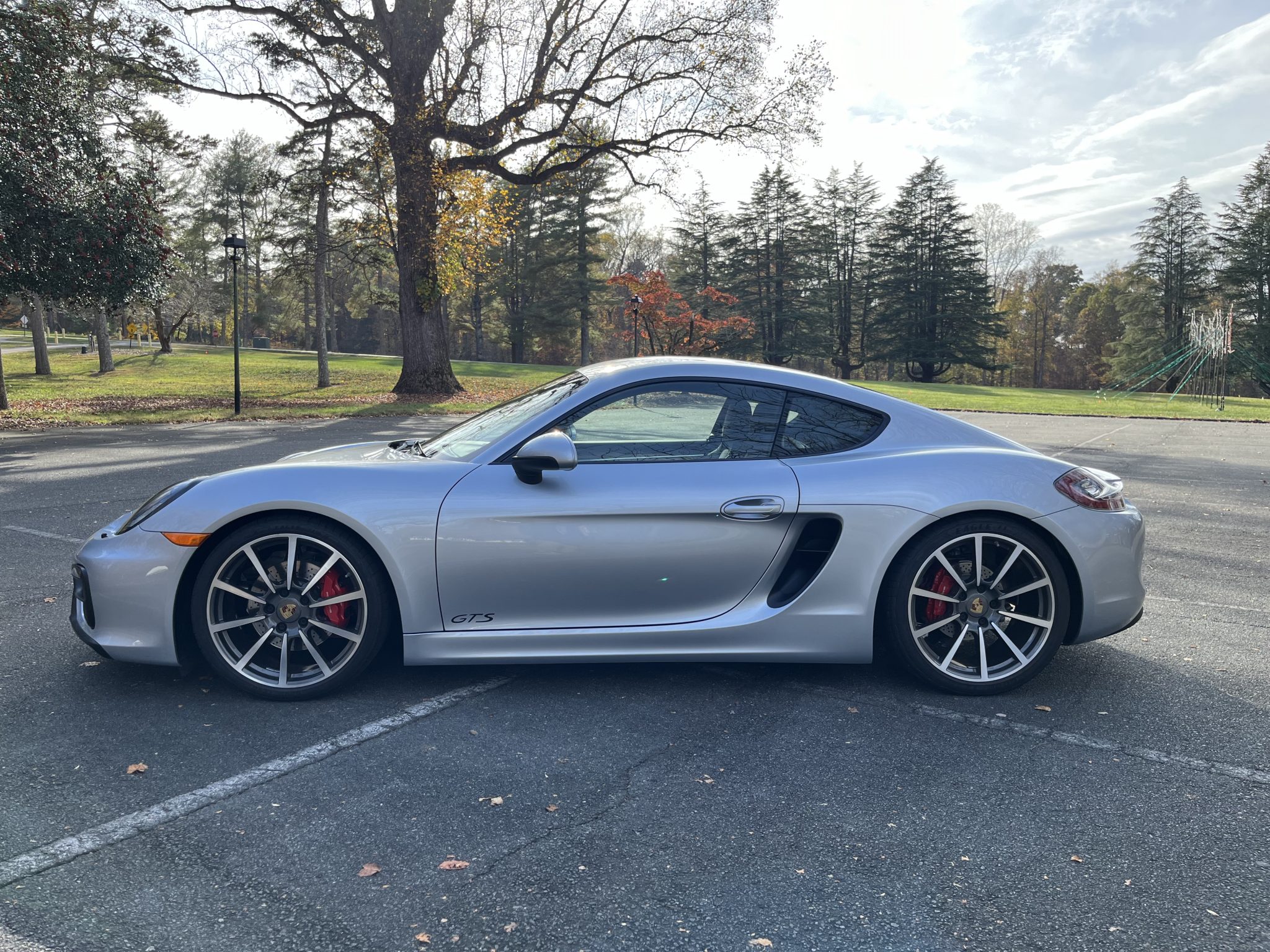 Porsche 981 Cayman 