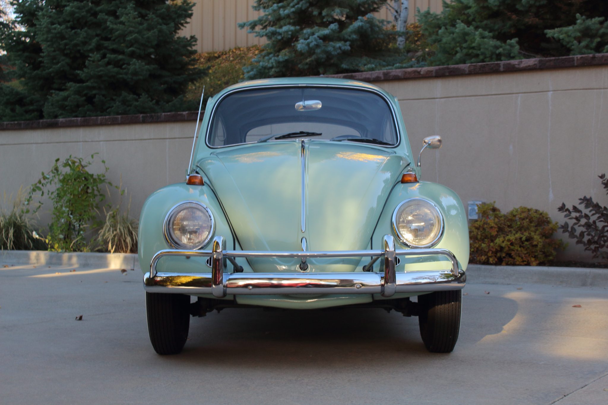 Volkswagen Beetle (1958-1979) 