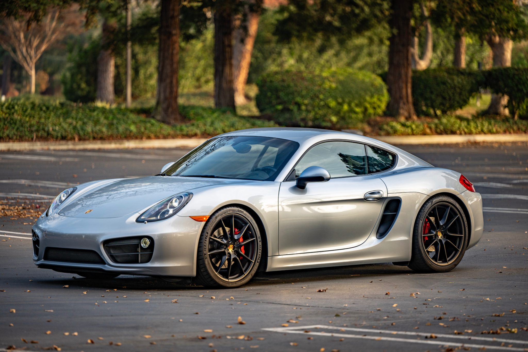 Porsche 981 Cayman 