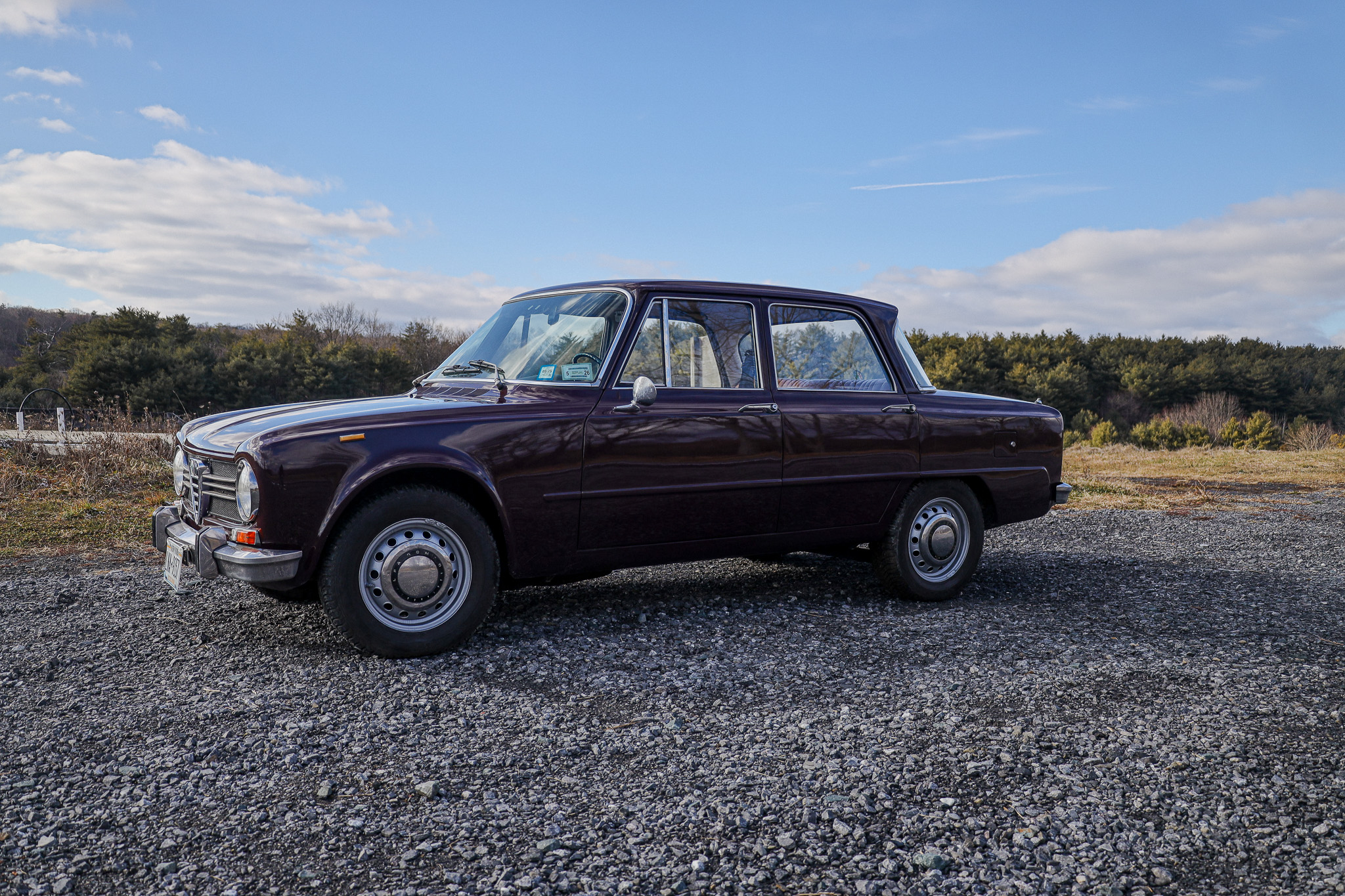 Alfa Romeo 105 Series Sedan 