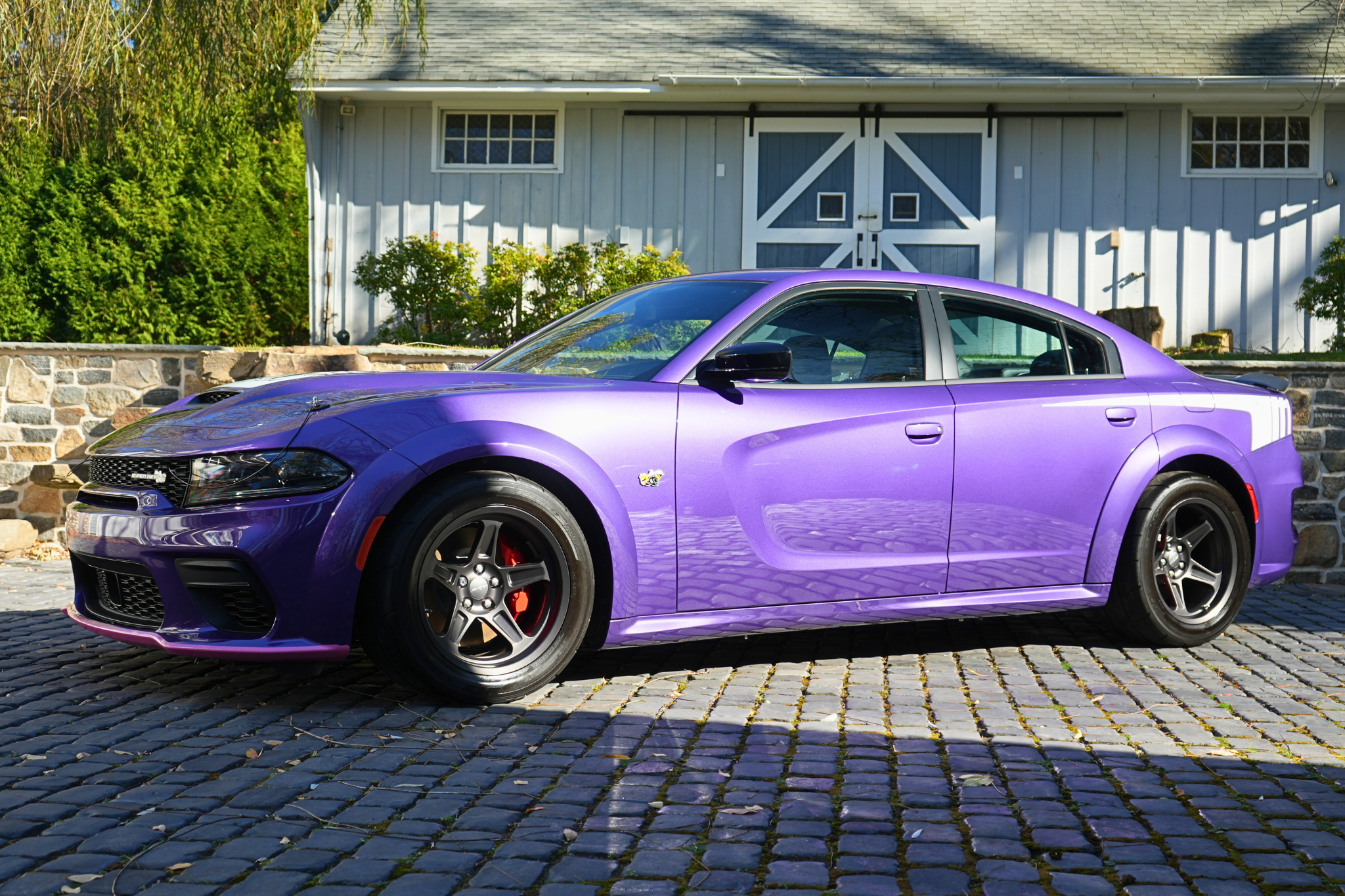 Dodge Charger 