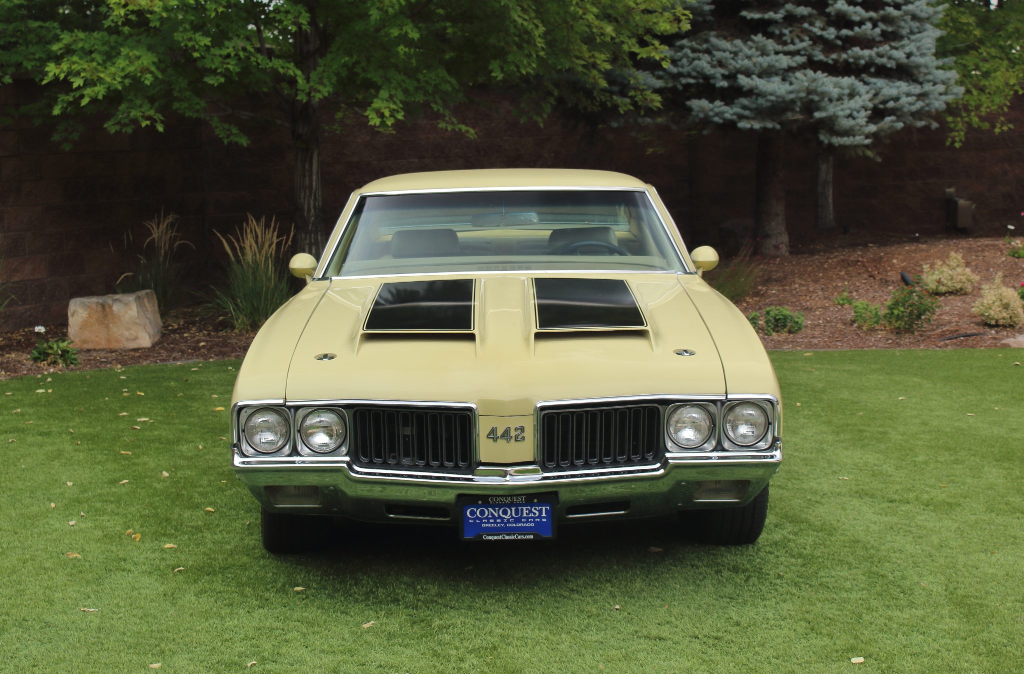 Oldsmobile 442 