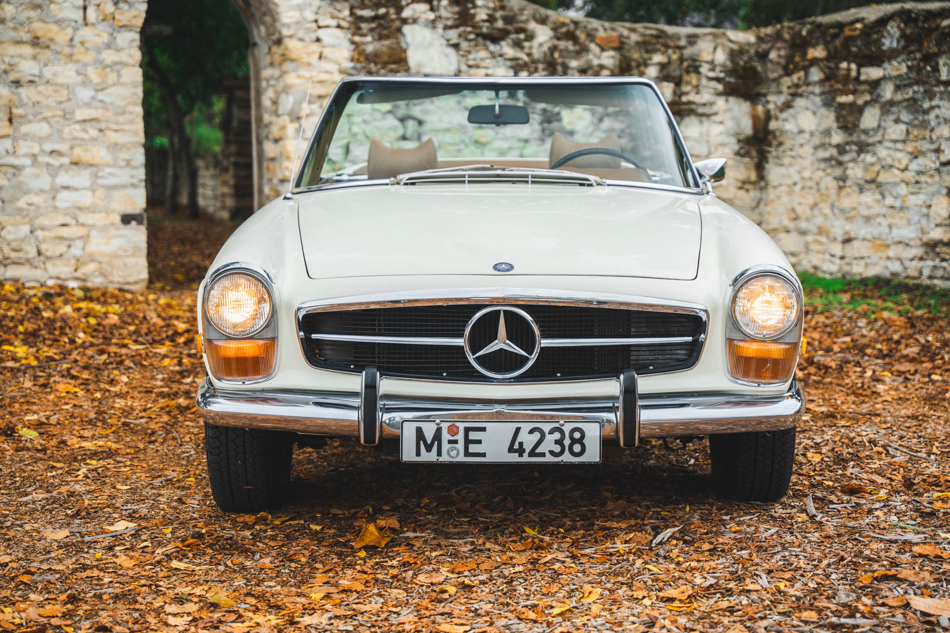 Mercedes-Benz W113 SL 