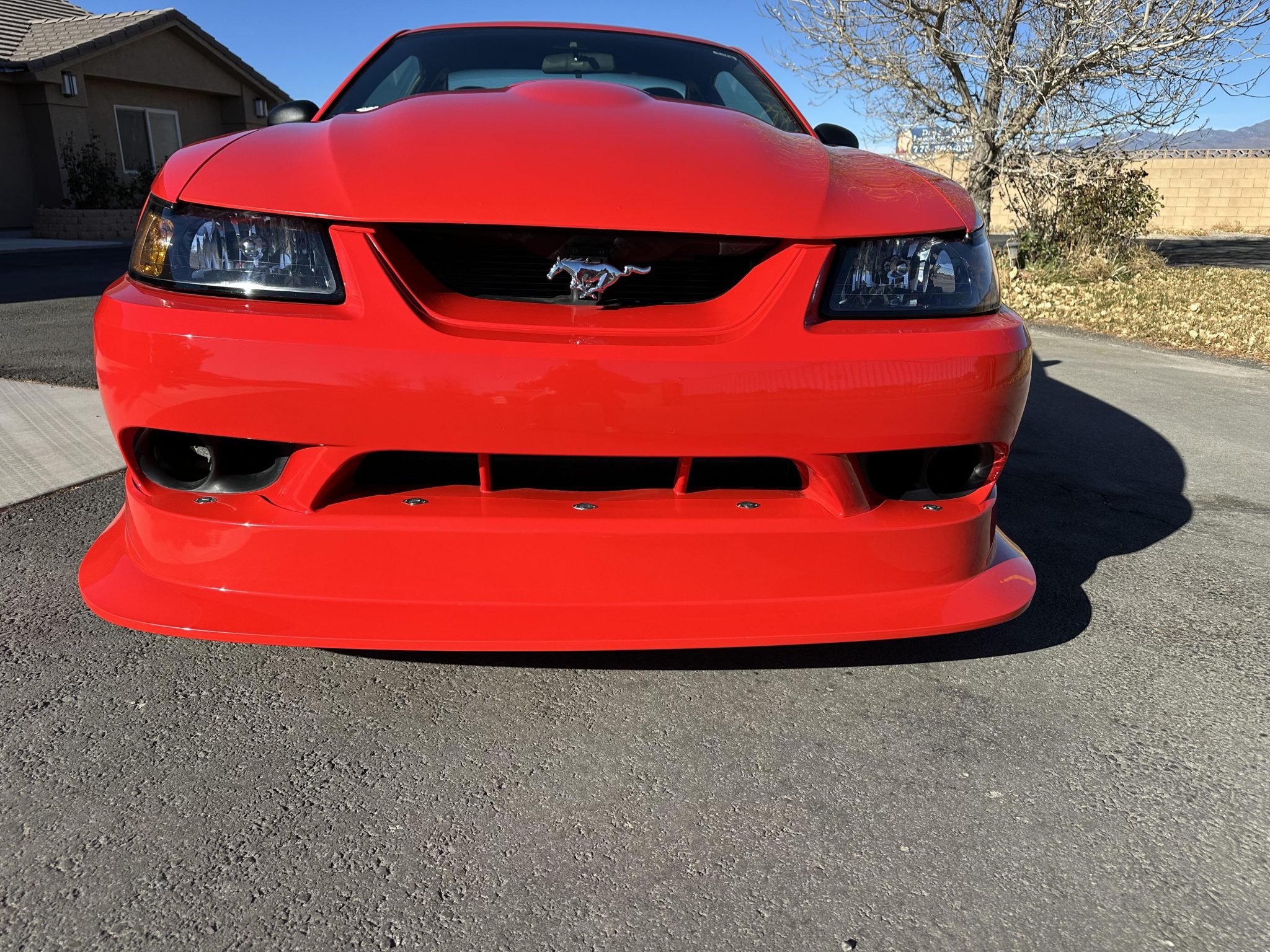 2000 Ford Mustang SN95 1994-2004 