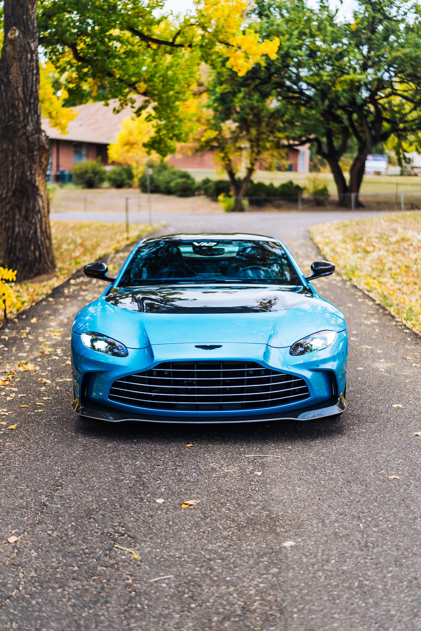 Aston Martin V12 Vantage 