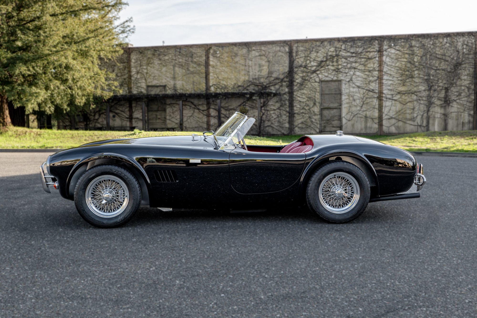 Shelby CSX Cobra Continuation 