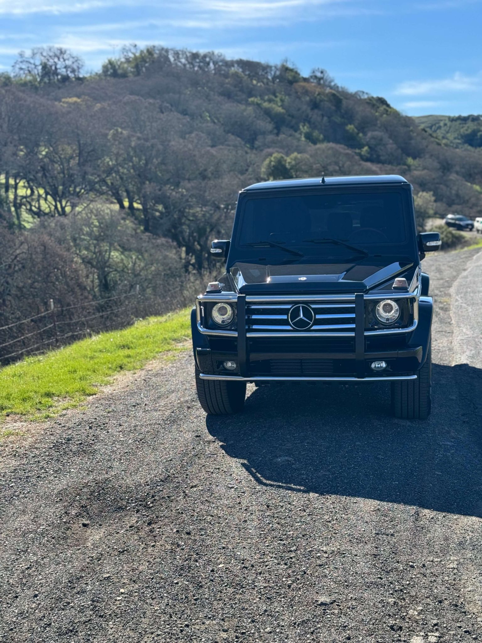Mercedes-Benz W463 G-Class AMG (1990-2018) 