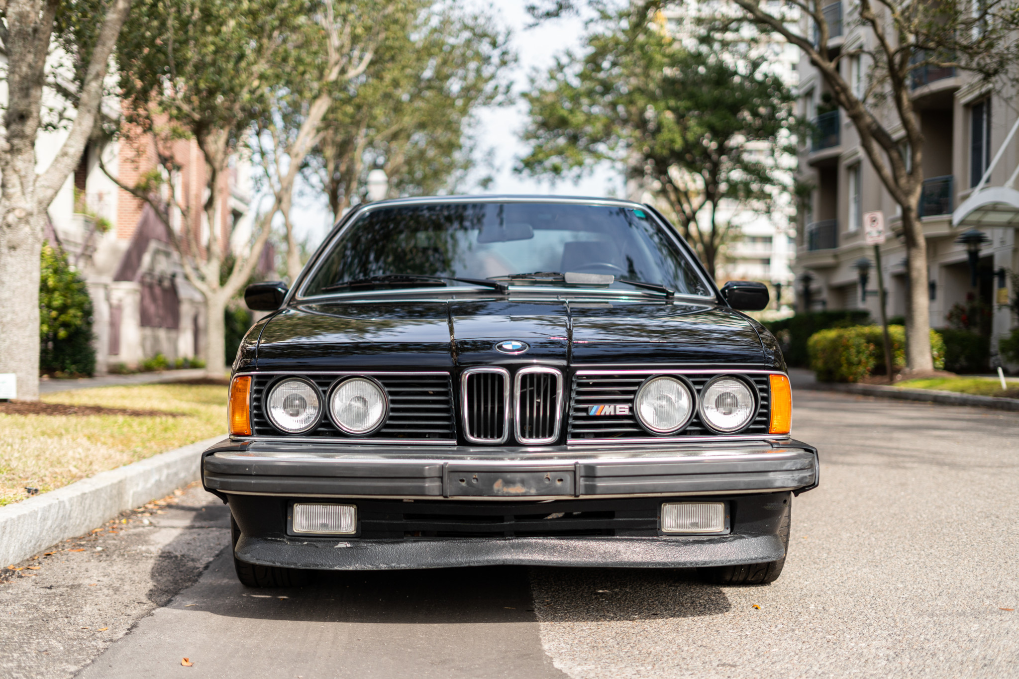 BMW E24 M6 & M635CSi 