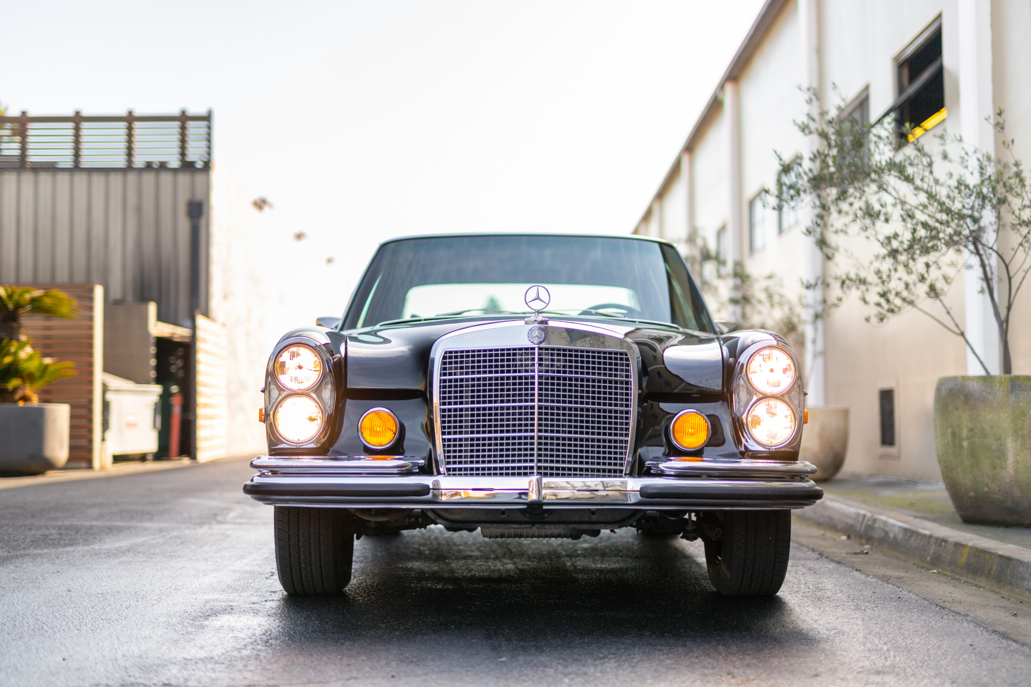 Mercedes-Benz W108 & W109 