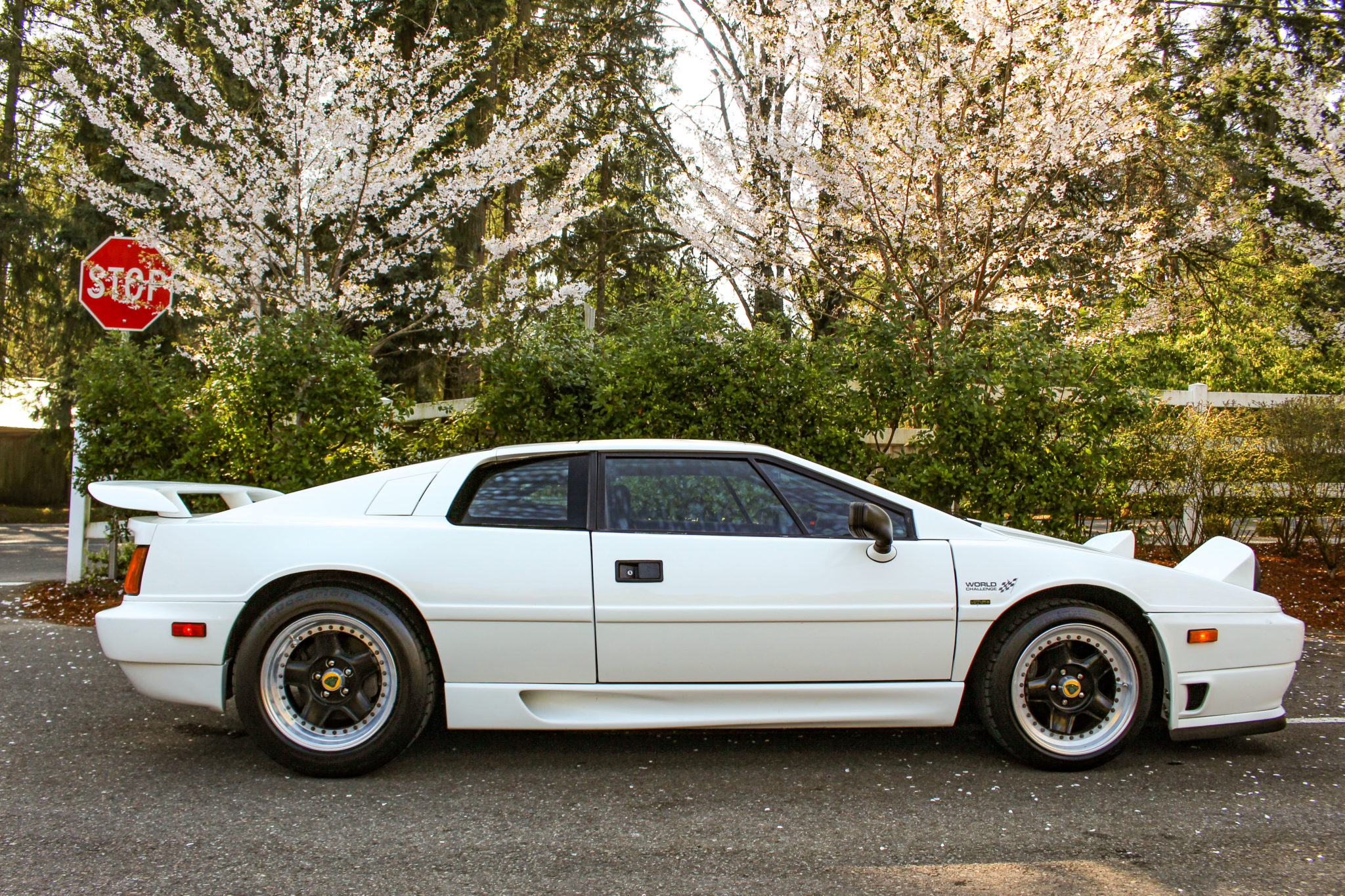 Lotus Esprit 