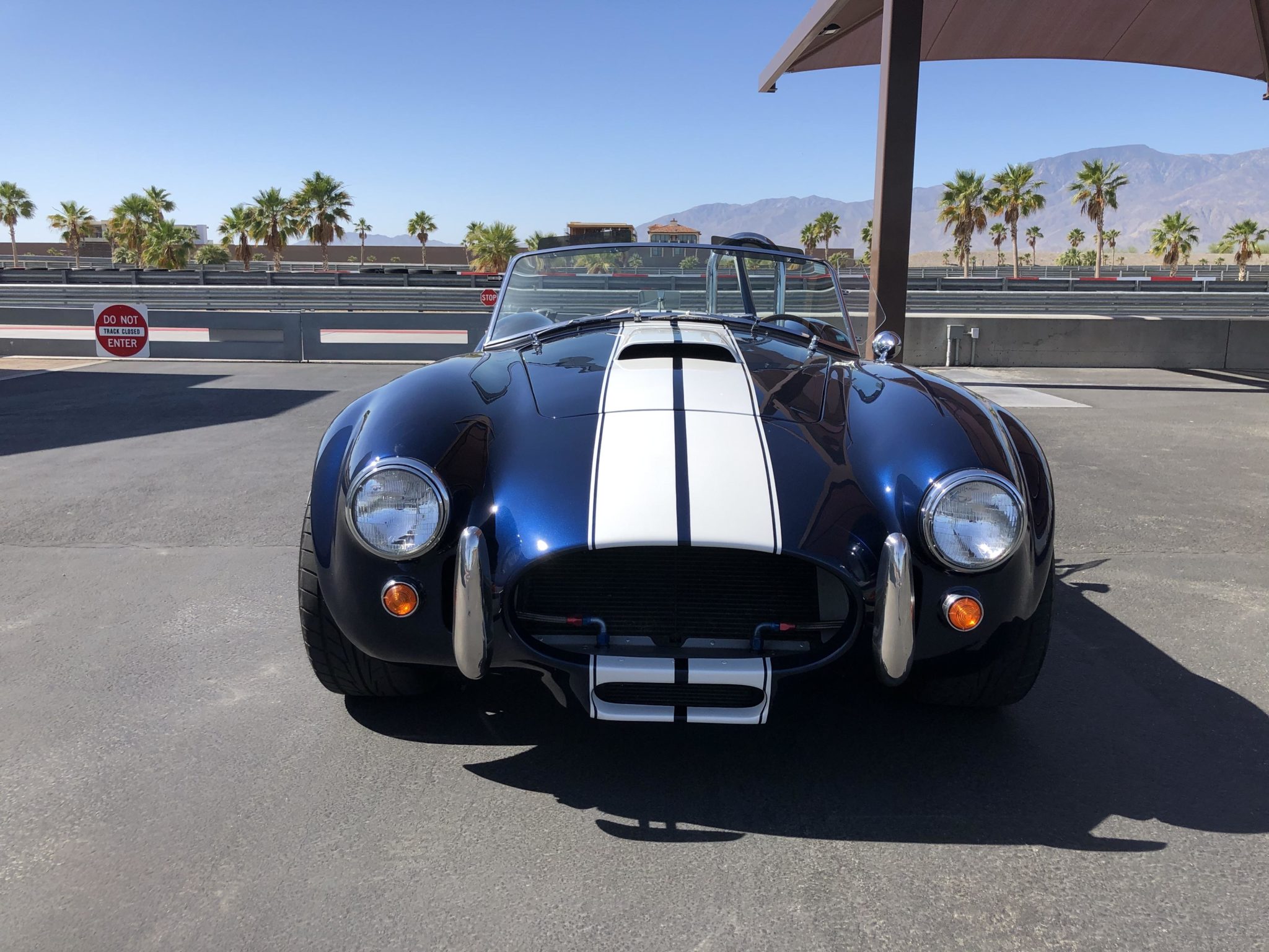 Shelby Cobra Replica 