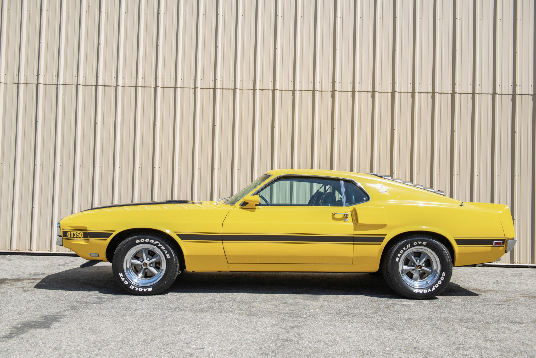 Shelby Mustang GT350 & GT500 