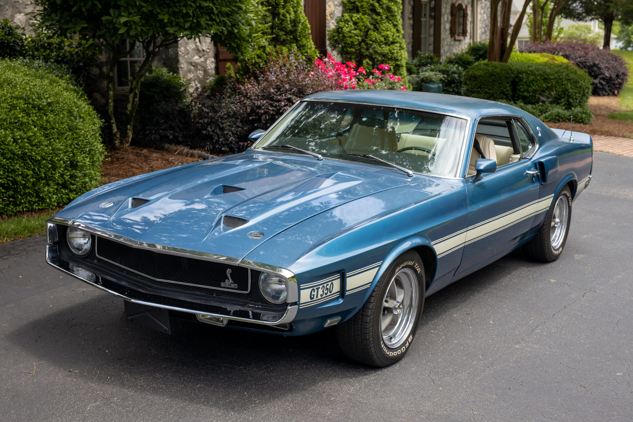 Shelby Mustang GT350 & GT500 