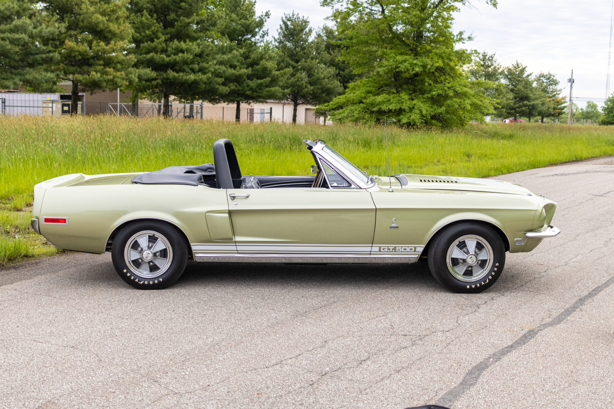 Shelby Mustang GT350 & GT500 