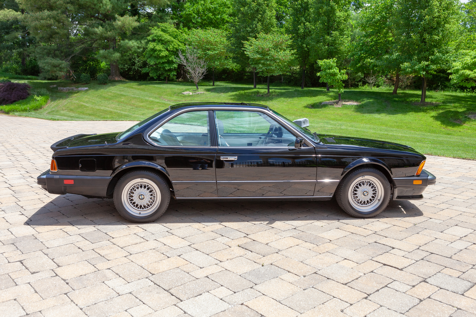 BMW E24 M6 & M635CSi 