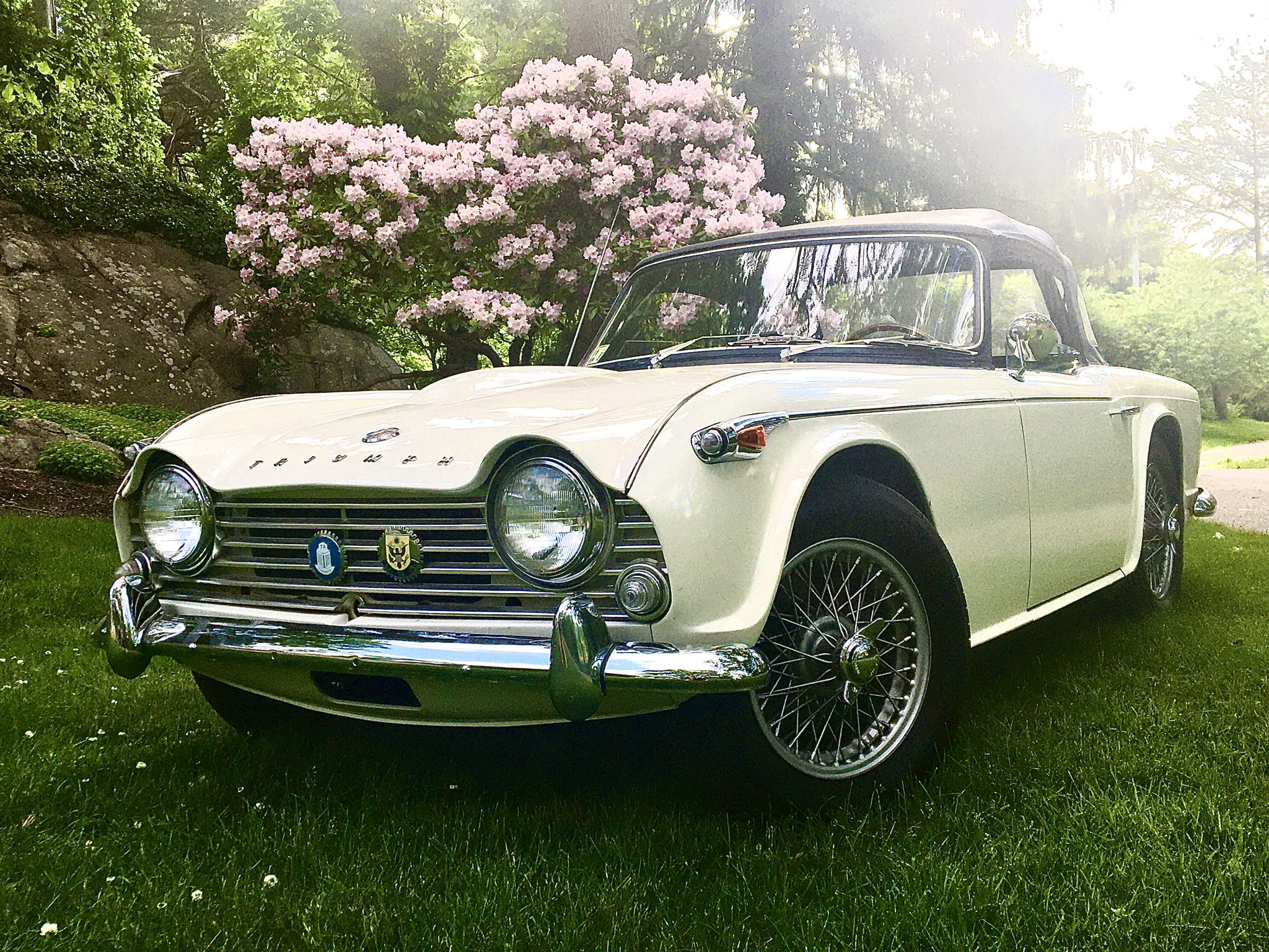 Triumph TR4 