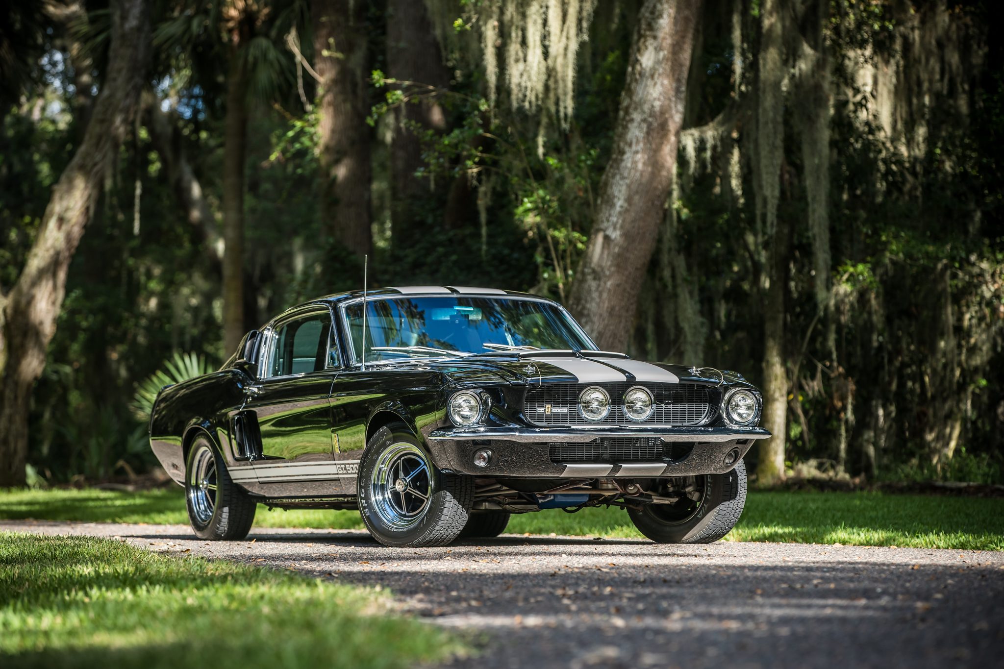 Shelby Mustang GT350 & GT500 