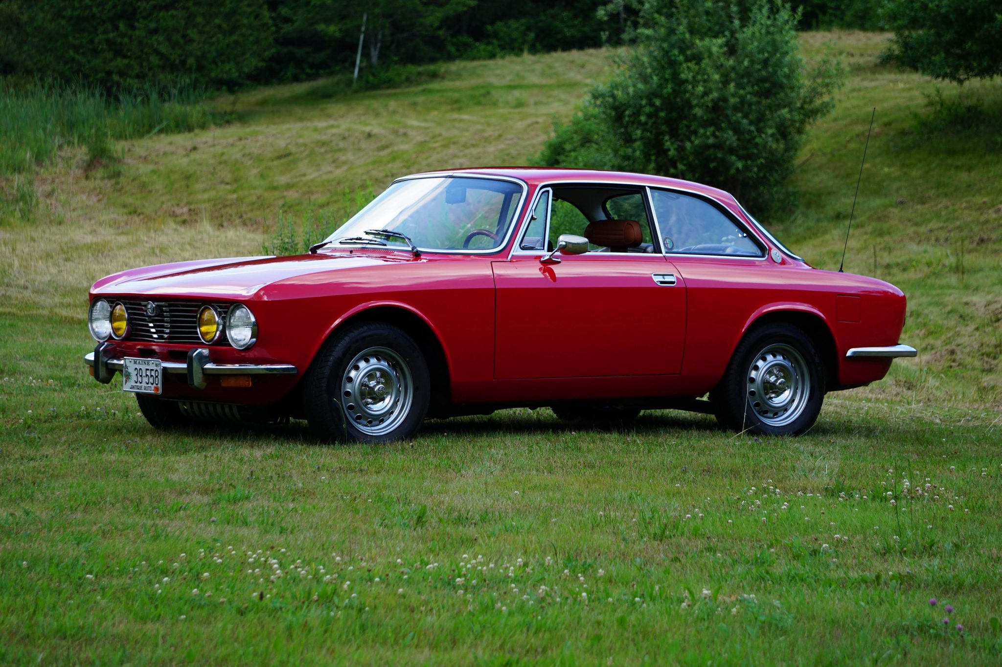 Alfa Romeo 105/115 Series Coupe 