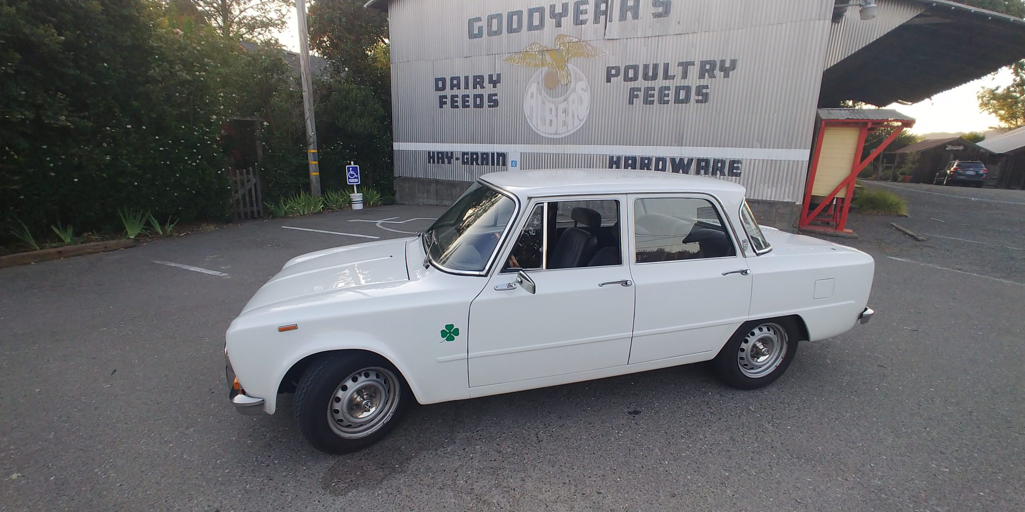Alfa Romeo 105 Series Sedan 