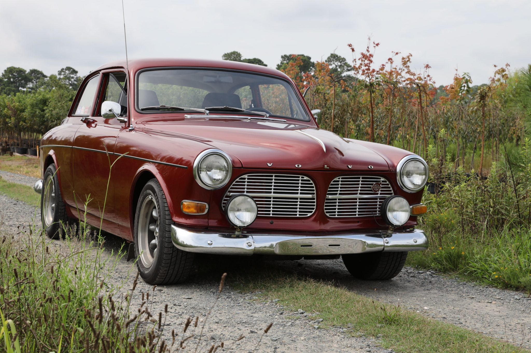 Volvo Amazon 