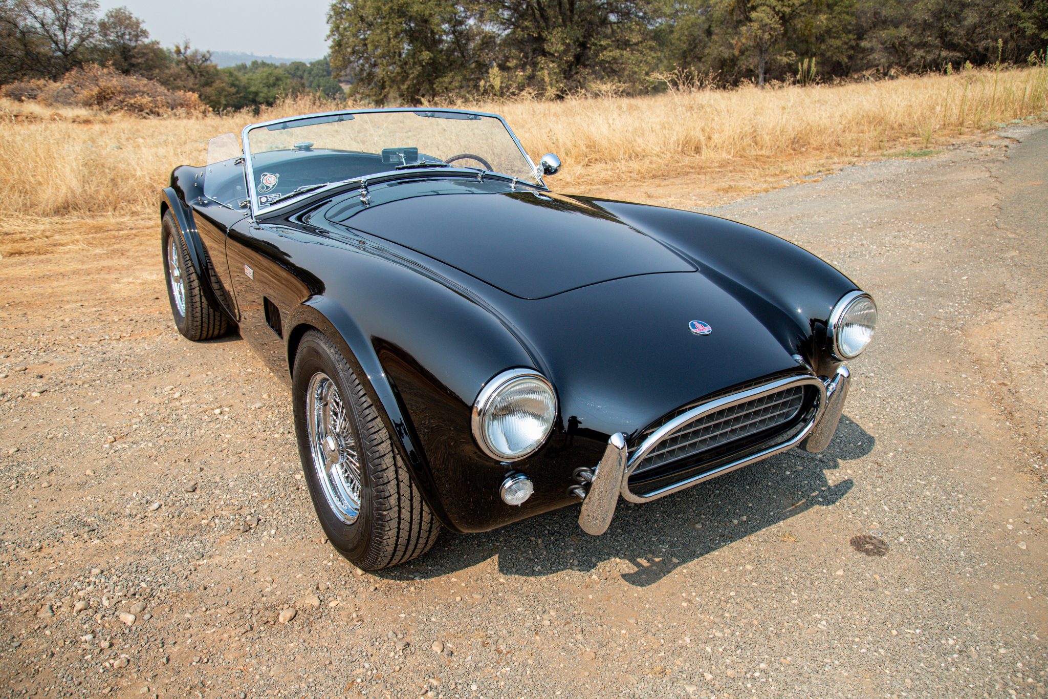 Shelby Cobra Replica 