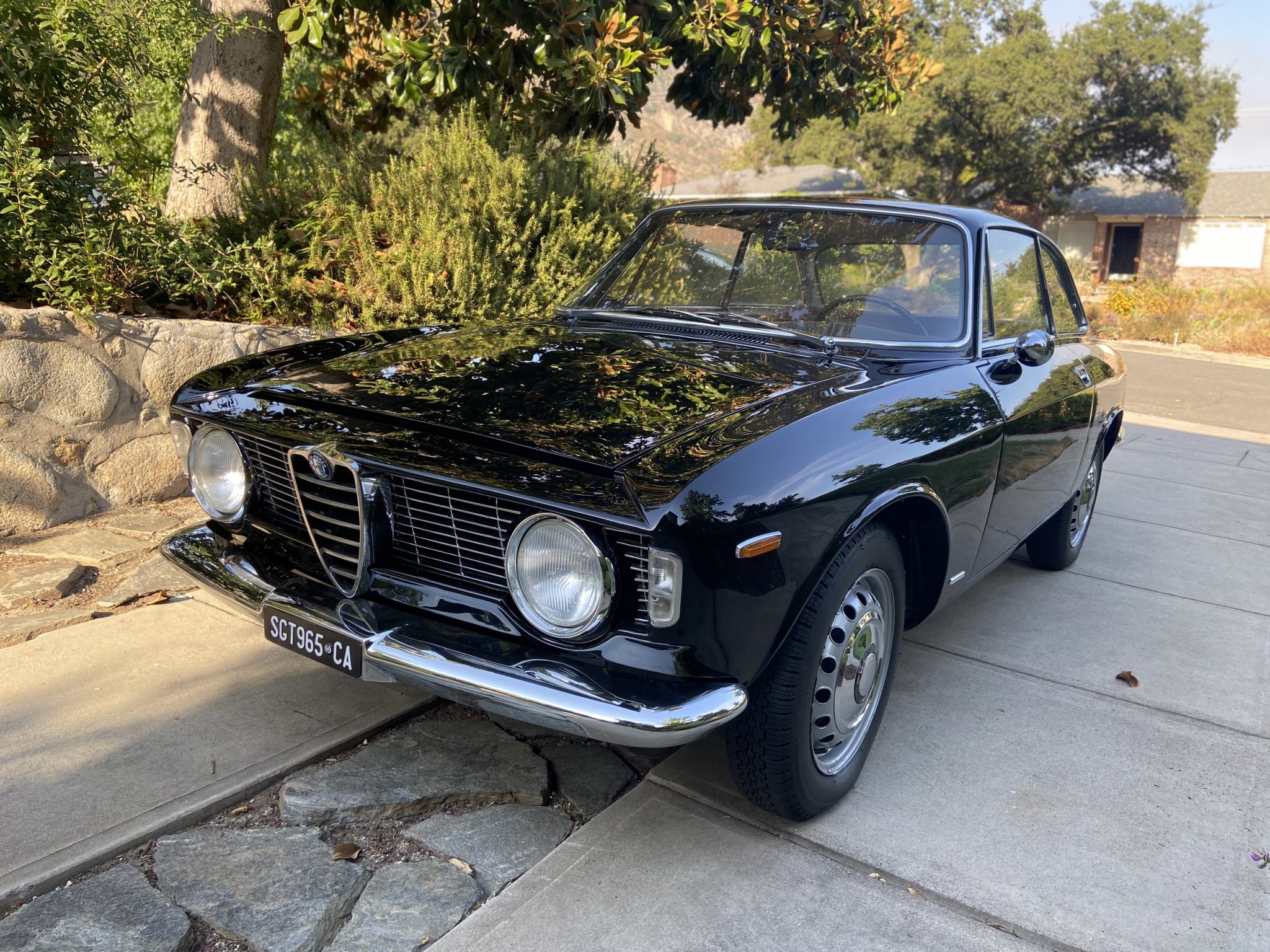 Alfa Romeo 105/115 Series Coupe 