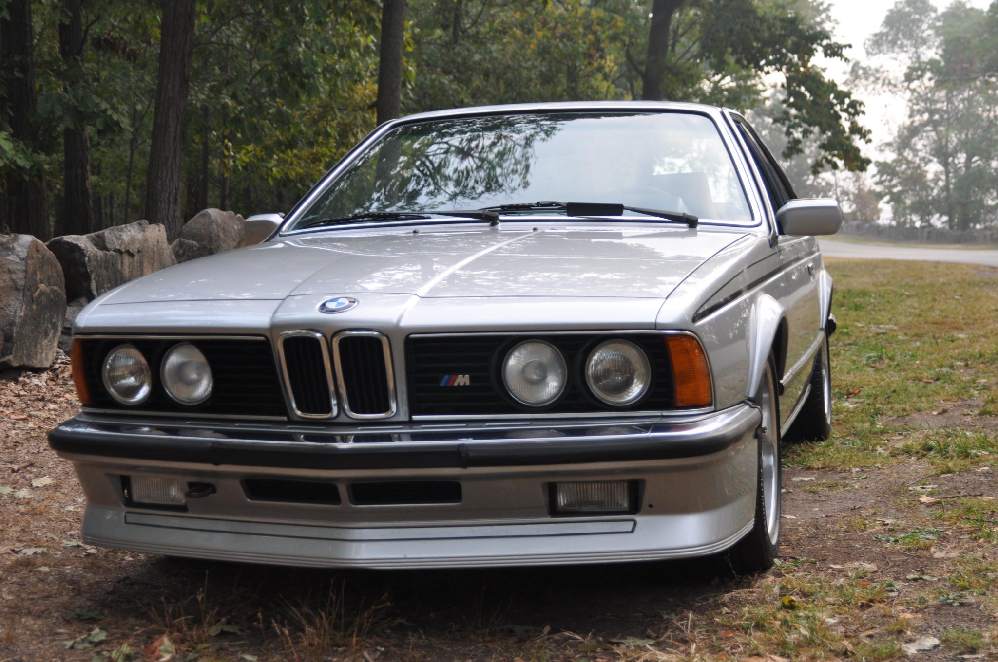 BMW E24 M6 & M635CSi 