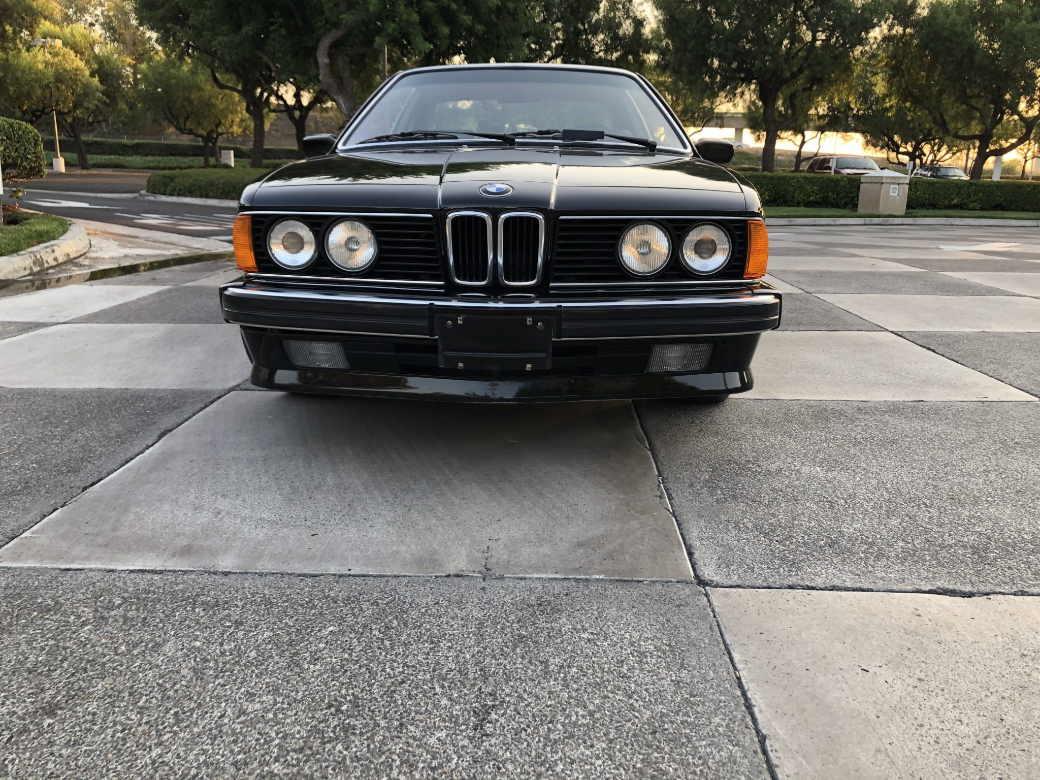 BMW E24 6-Series 