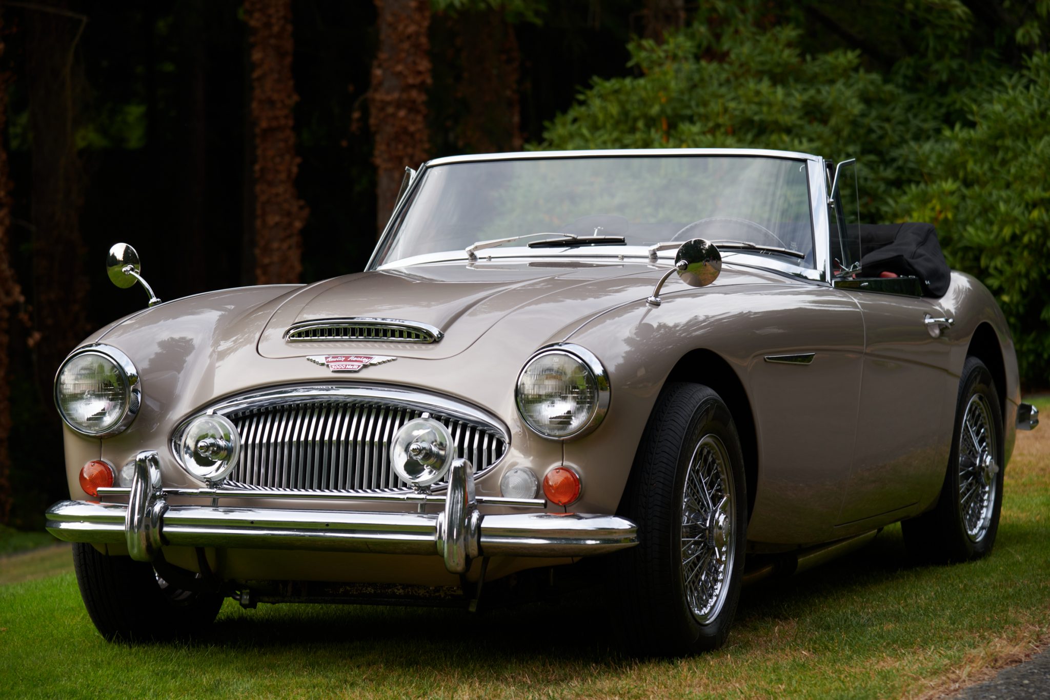 Austin-Healey 3000 