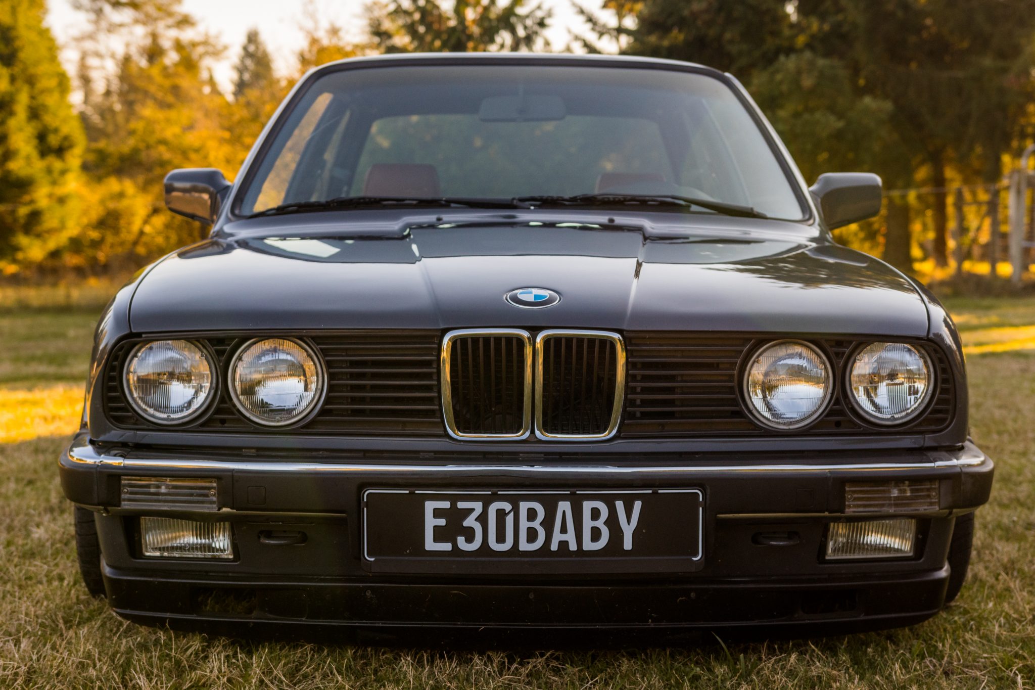 BMW E30 3-Series Coupe 