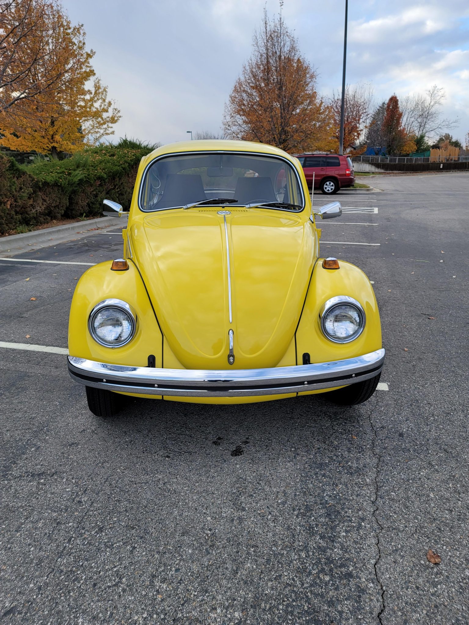 Volkswagen Beetle (1958-1979) 
