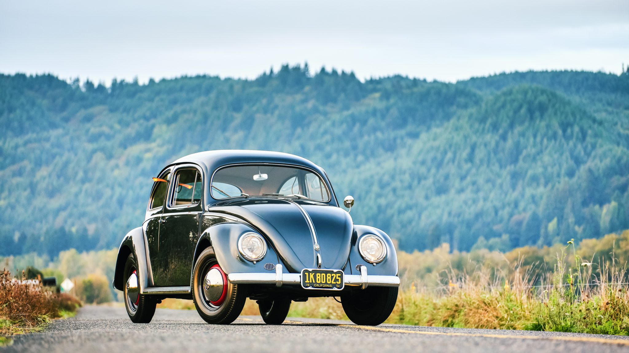 Volkswagen Beetle (Oval Window) 