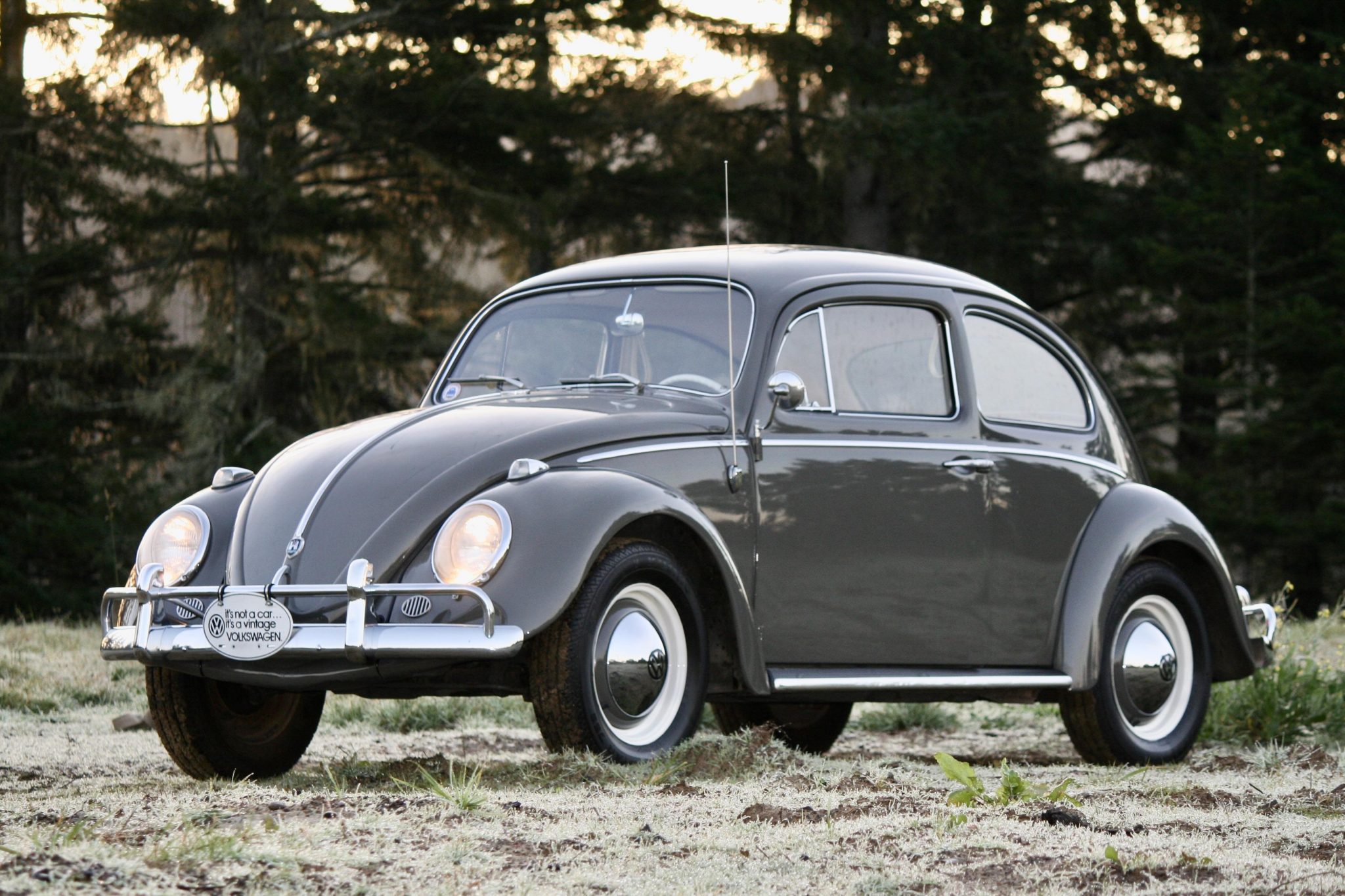 Volkswagen Beetle (1958-1979) 