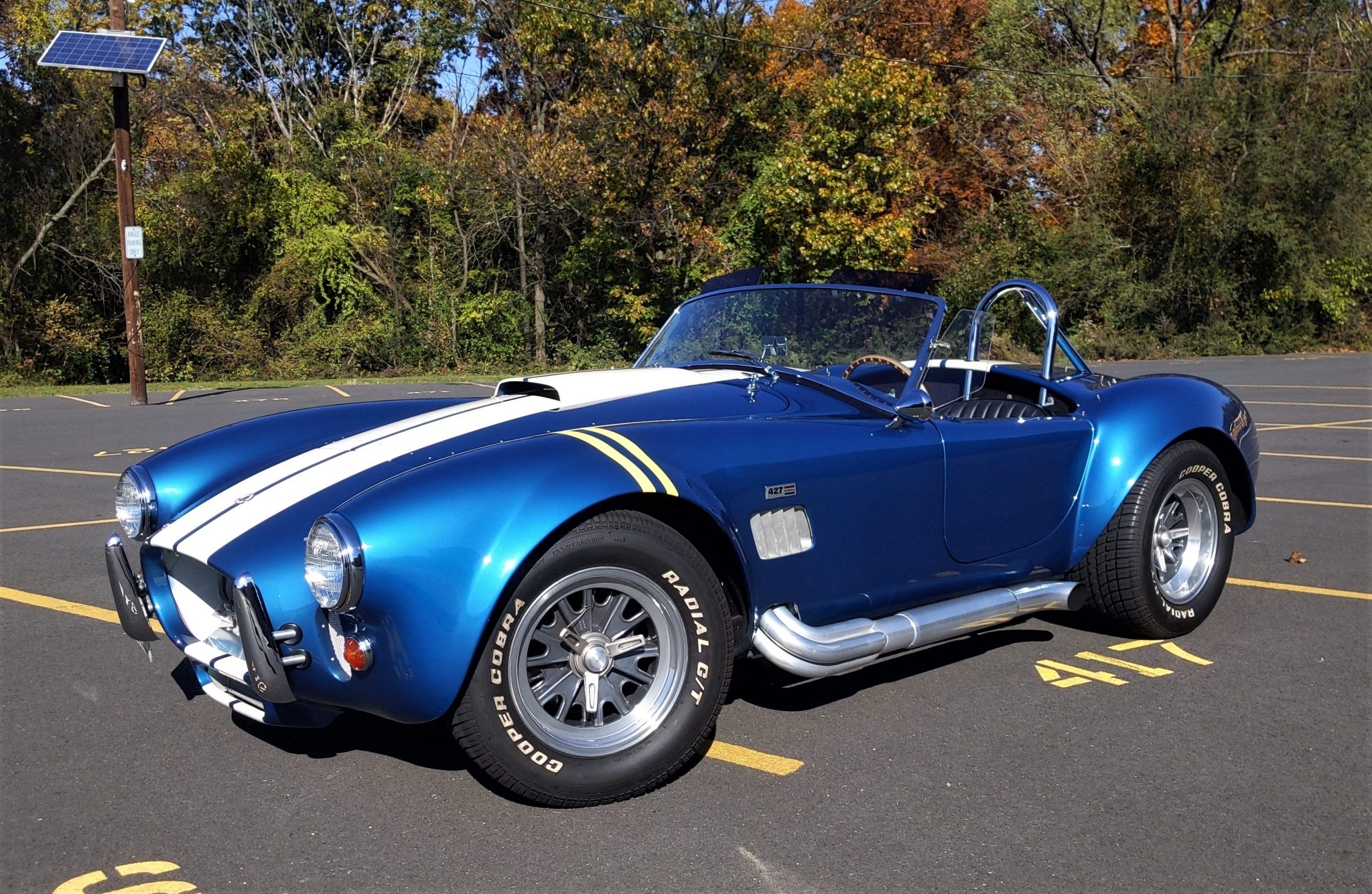 Shelby Cobra Replica 