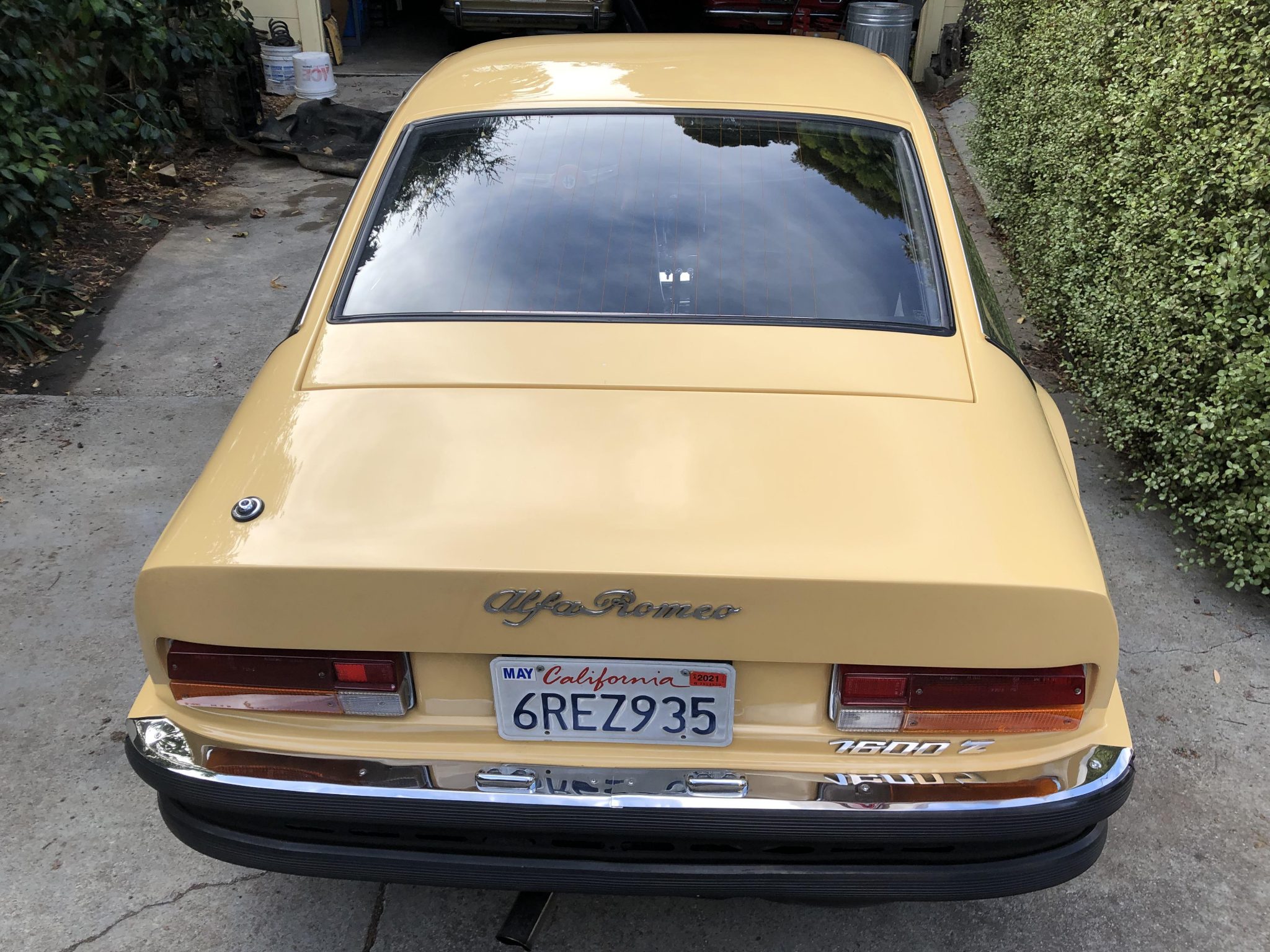 Alfa Romeo 105/115 Series Coupe 