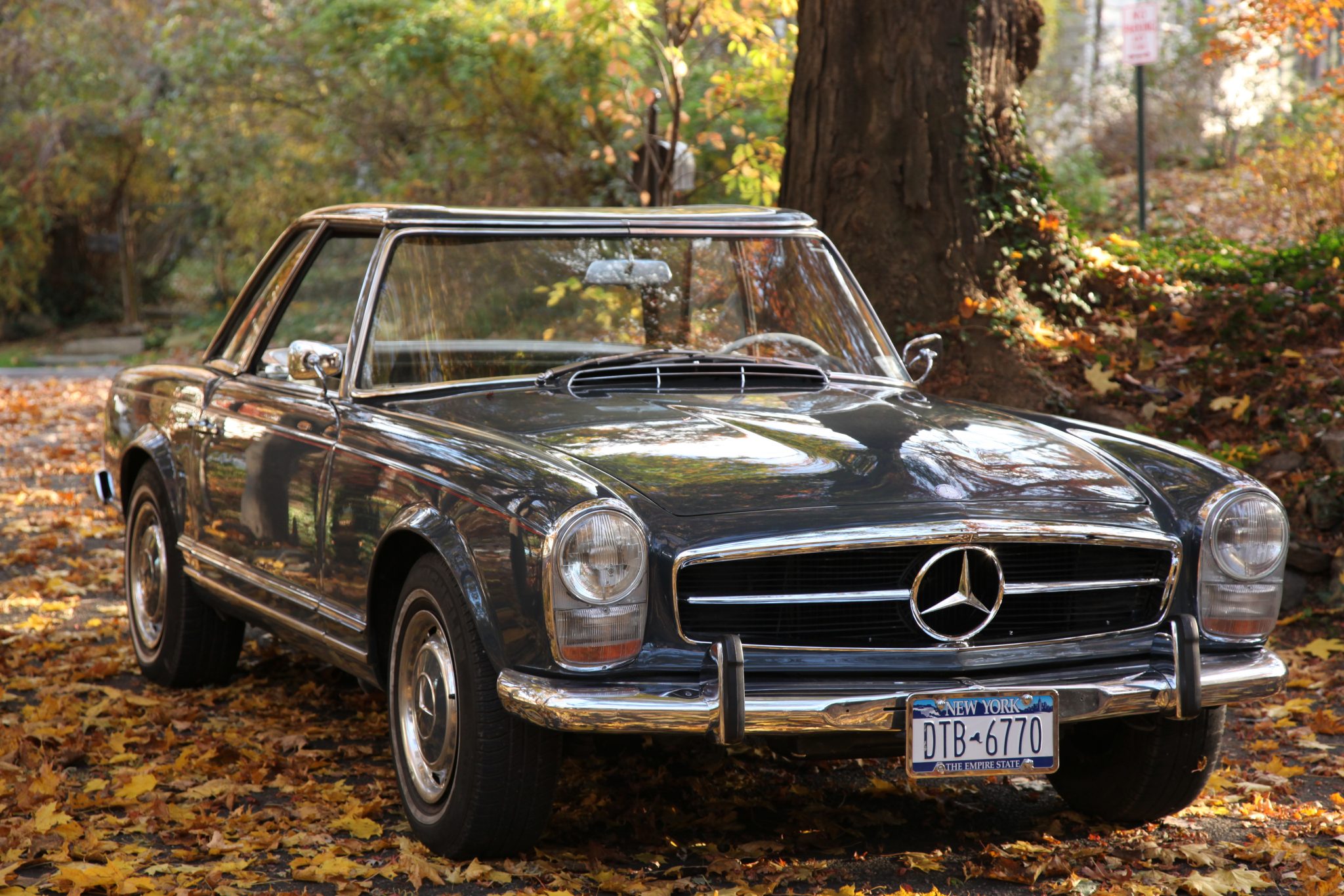 Mercedes-Benz W113 SL 