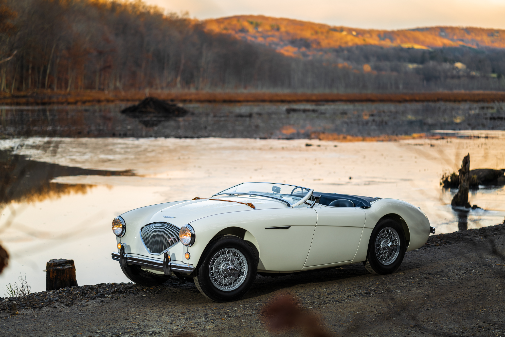 Austin-Healey 100 
